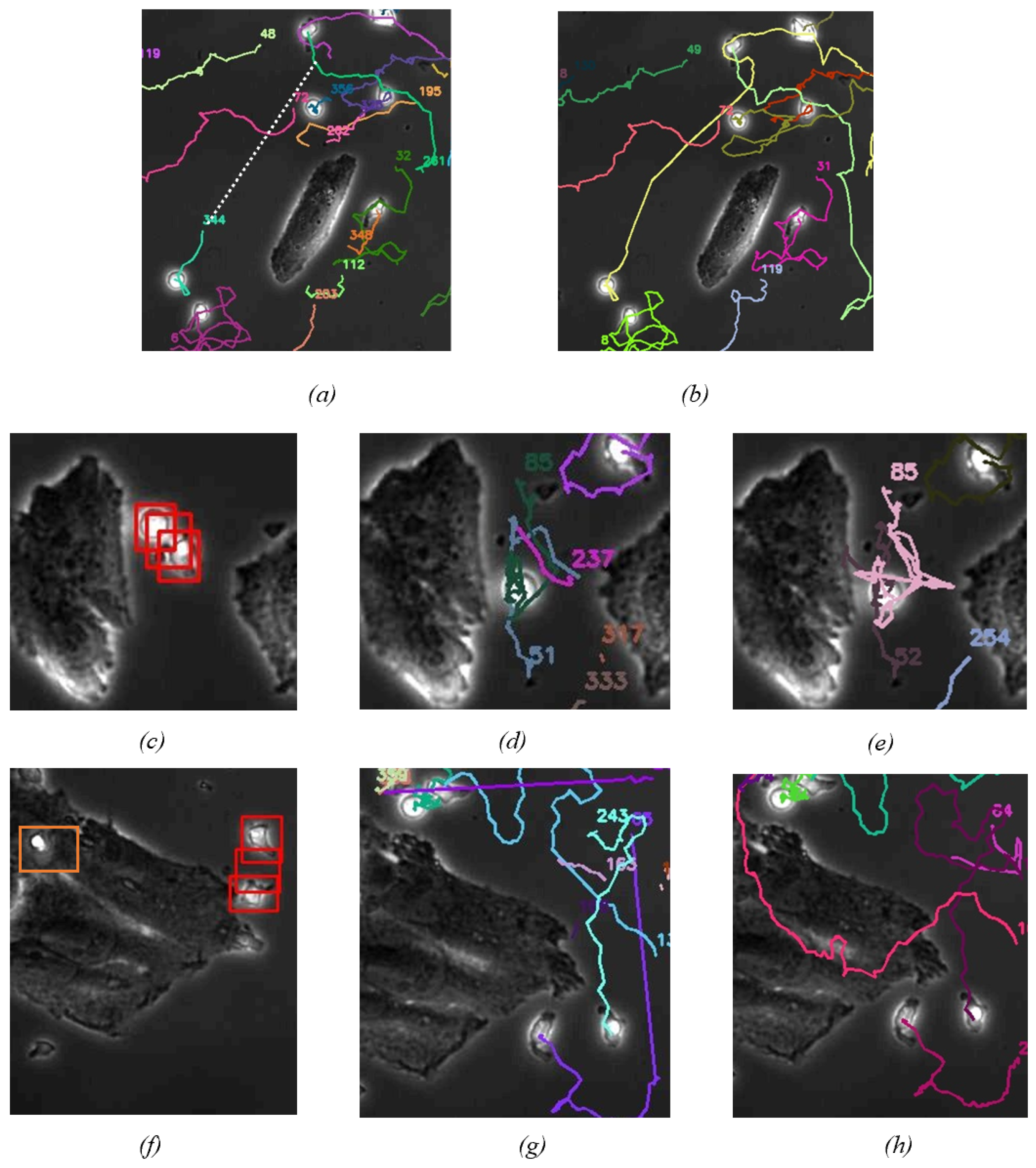 Bioengineering 11 00540 g006