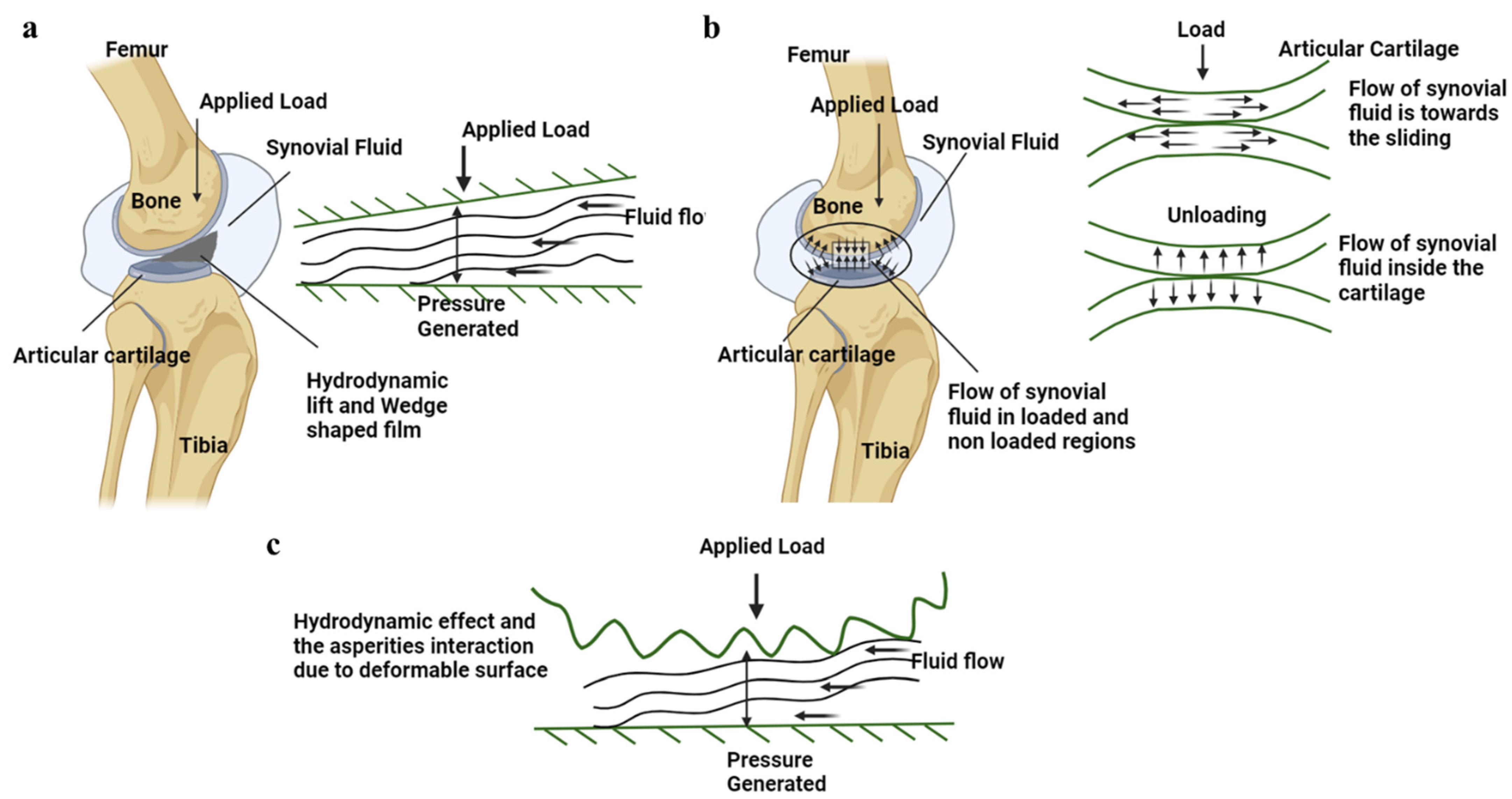 Bioengineering 11 00541 g007