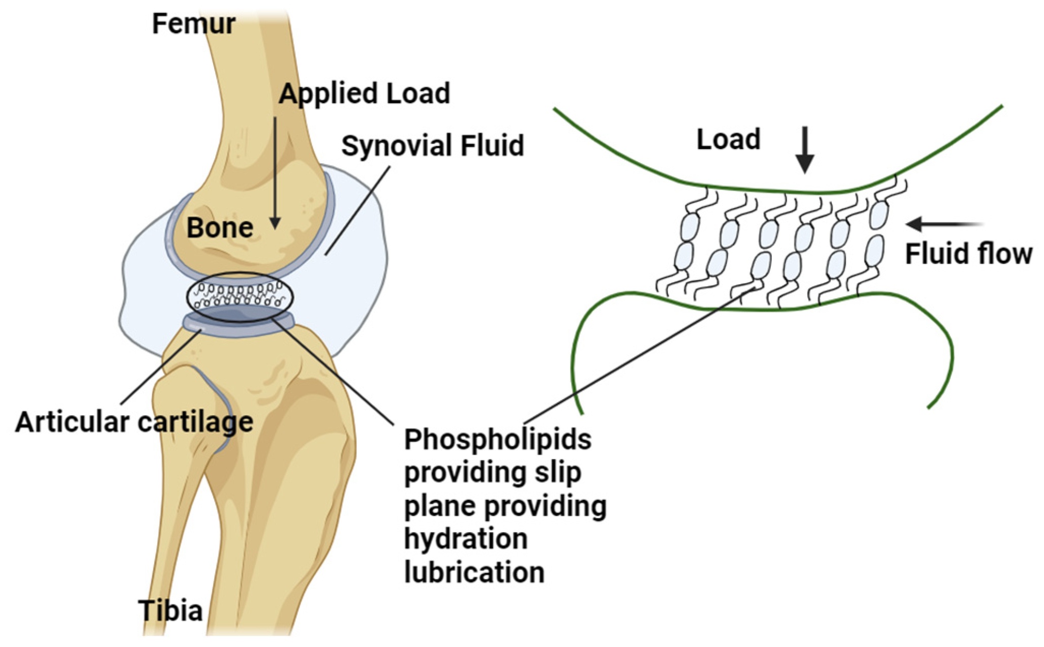 Bioengineering 11 00541 g008