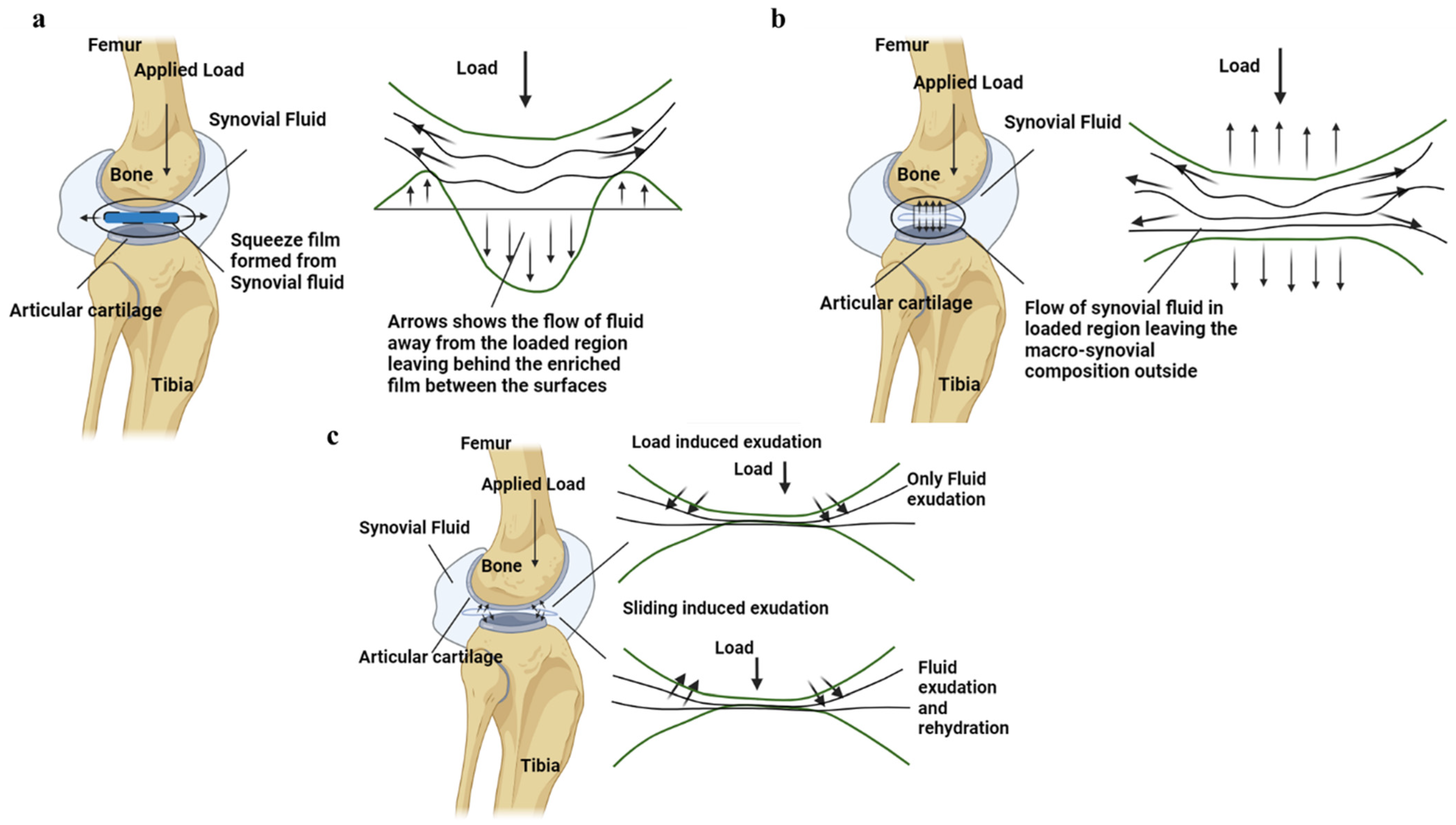 Bioengineering 11 00541 g009