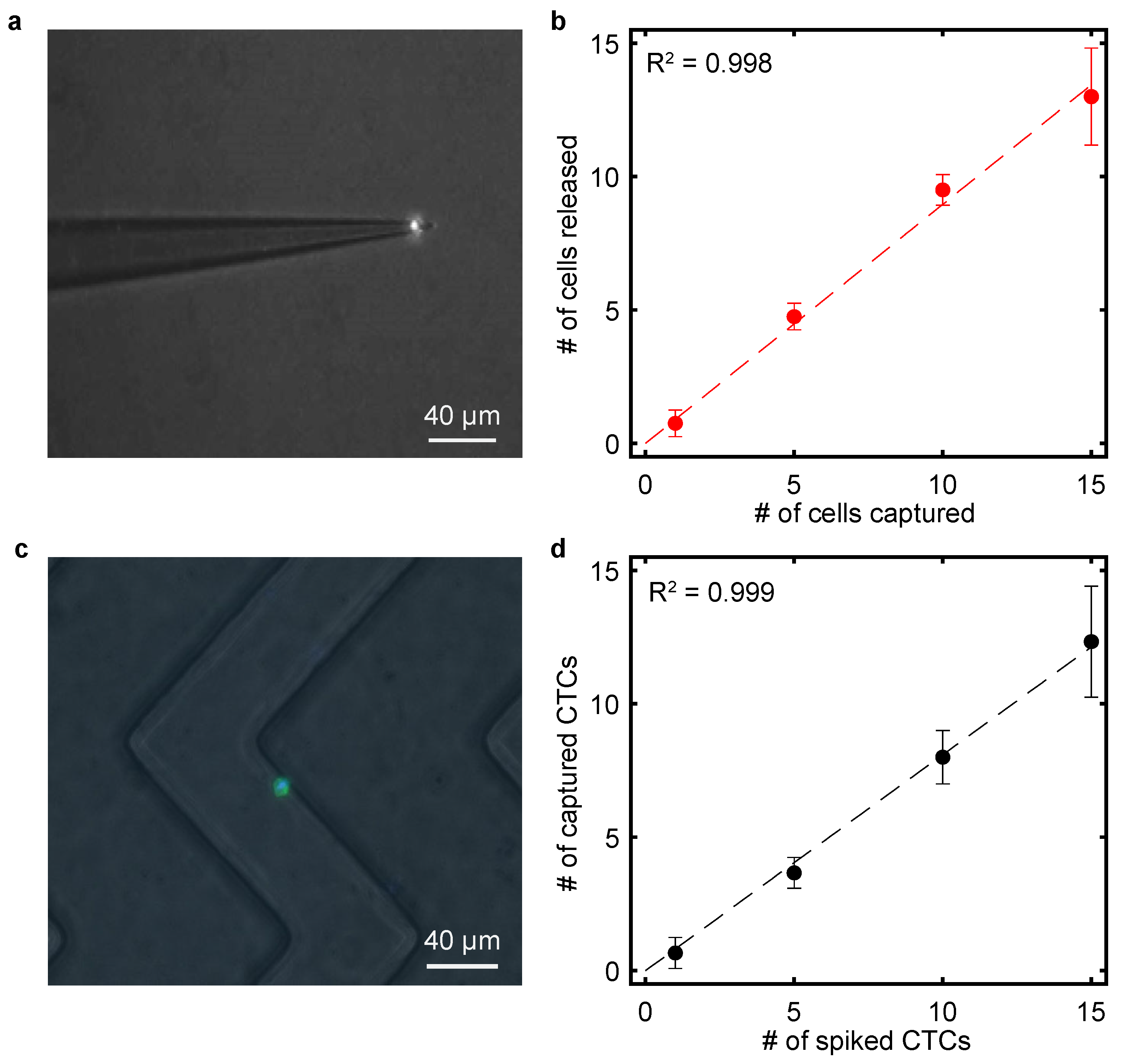 Bioengineering 11 00542 g004