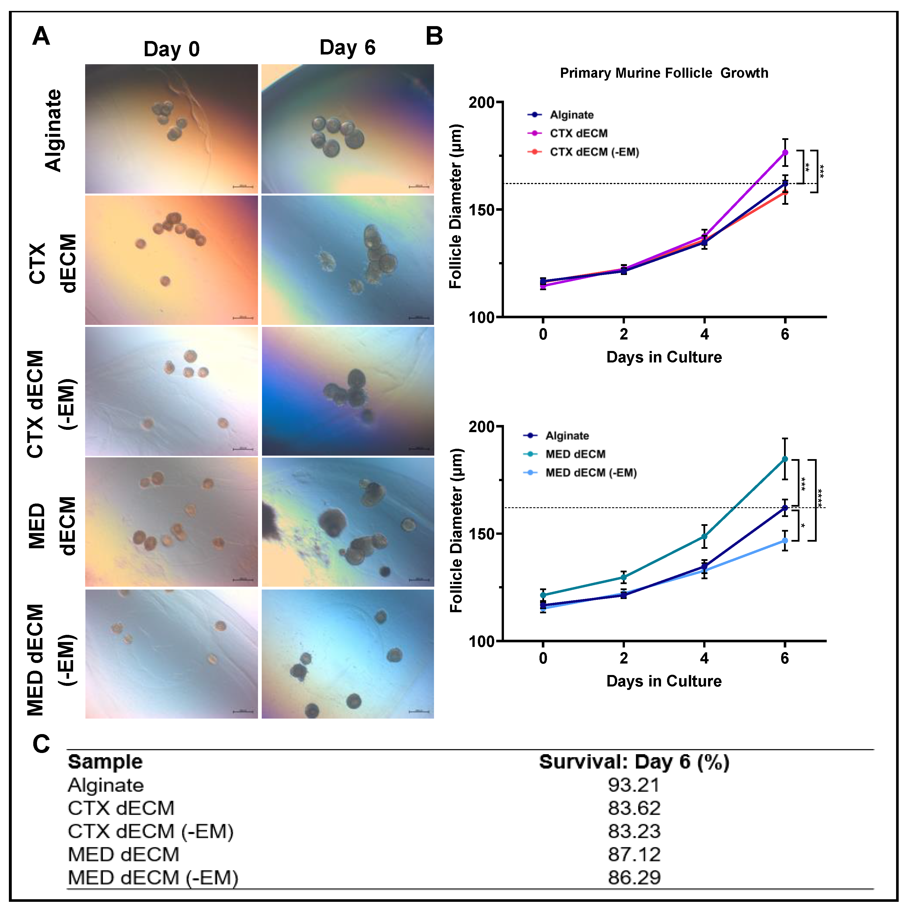 Bioengineering 11 00543 g003