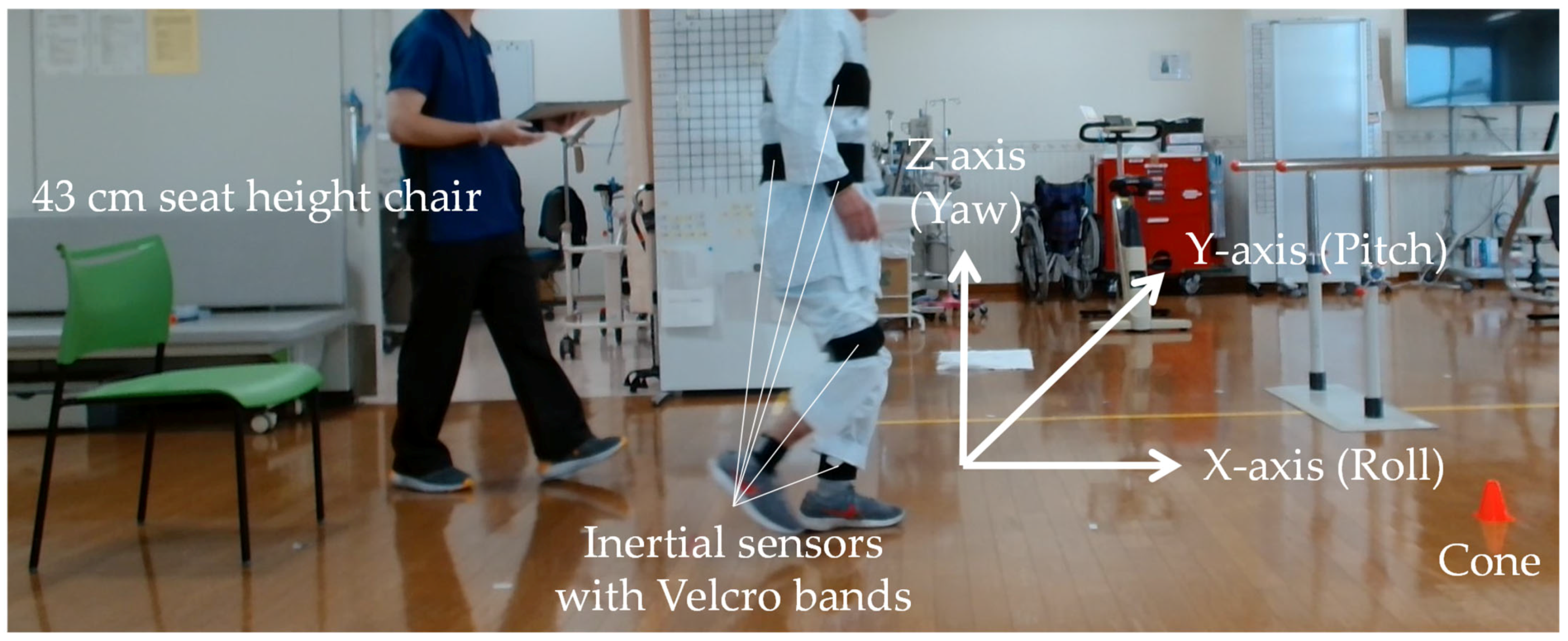 Bioengineering 11 00544 g001