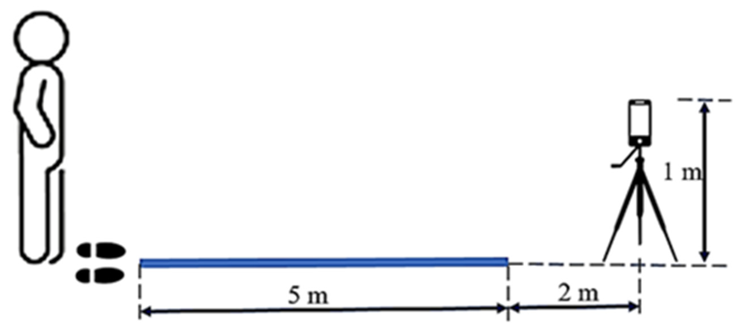 Bioengineering 11 00548 g002