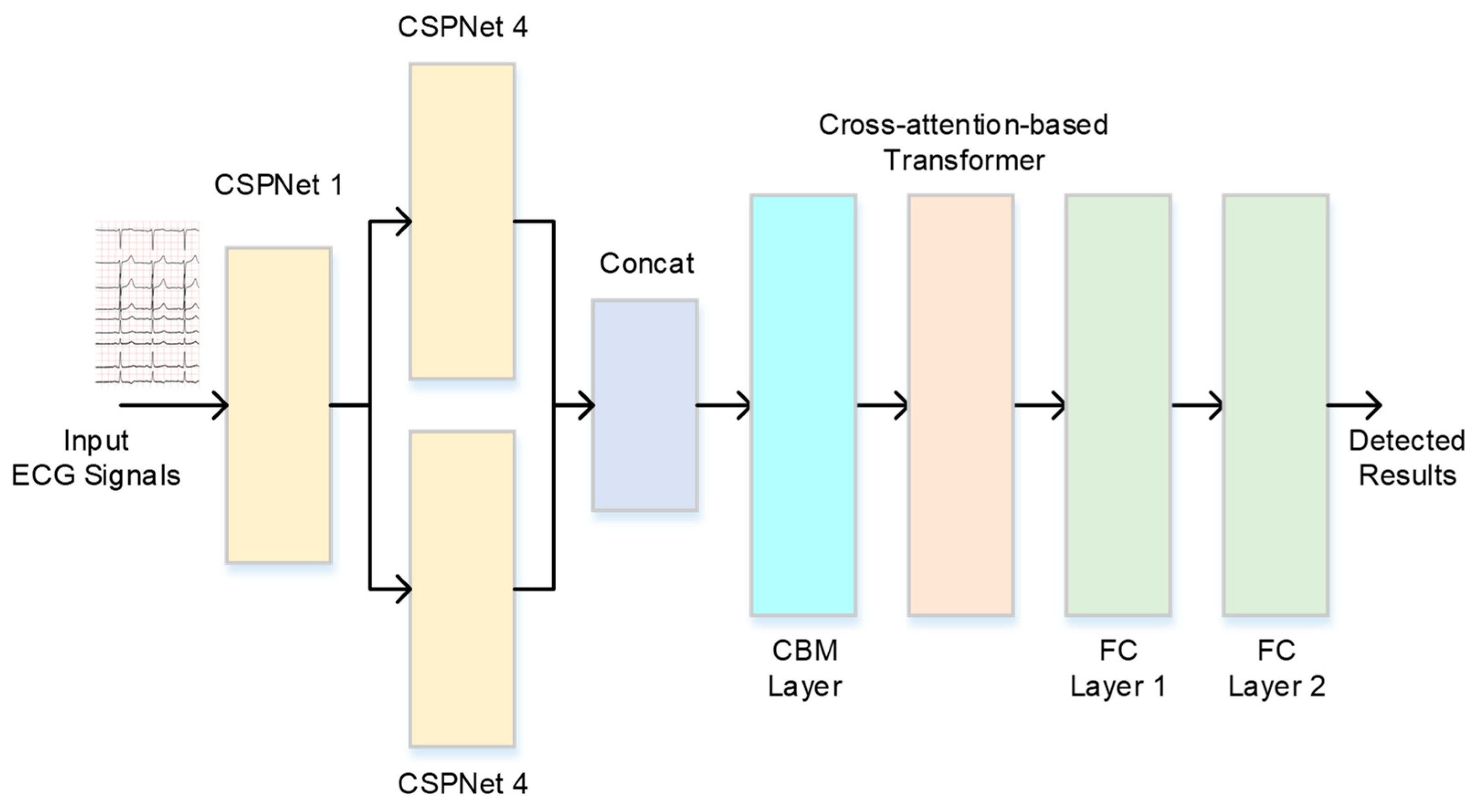 Bioengineering 11 00549 g001