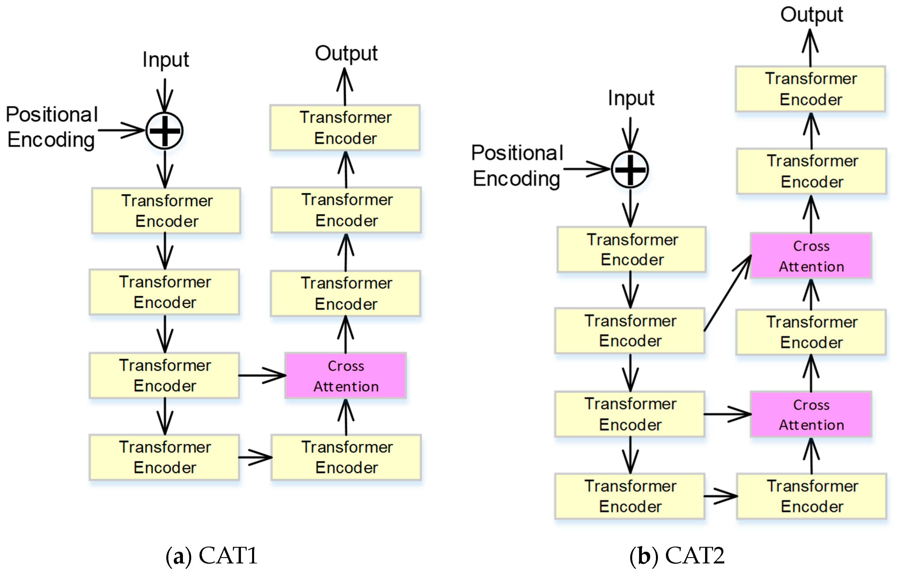 Bioengineering 11 00549 g006