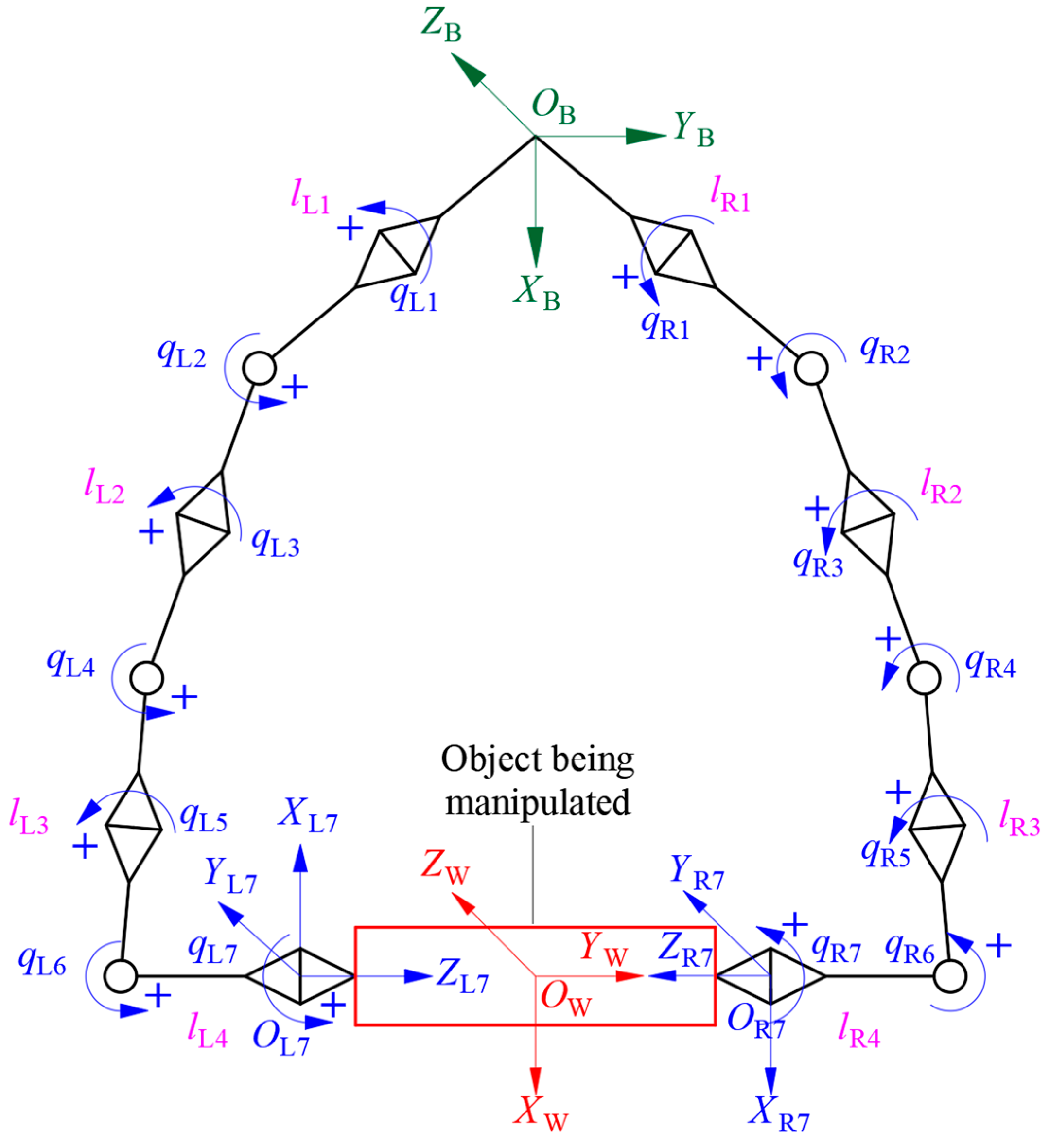 Bioengineering 11 00550 g002
