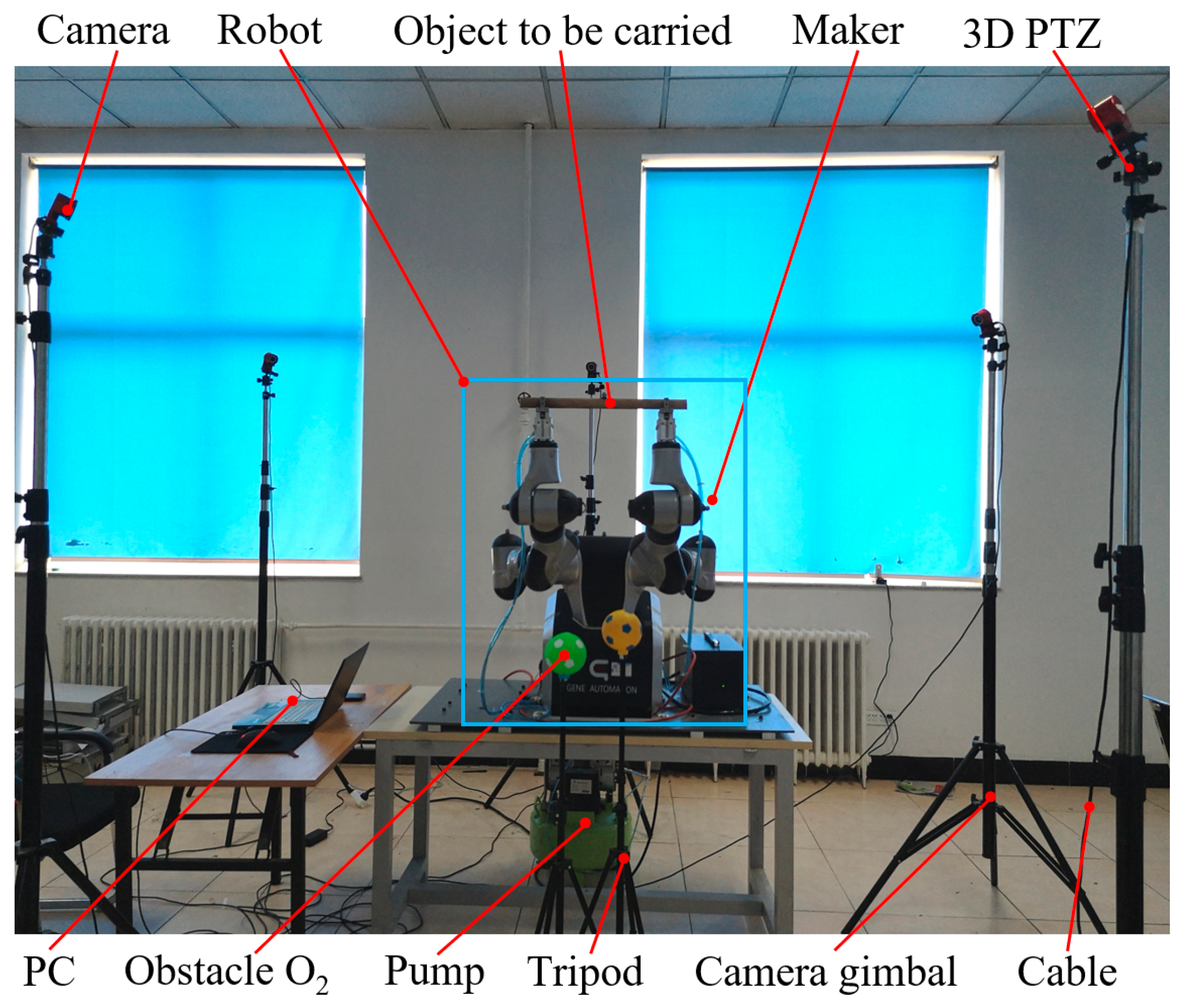 Bioengineering 11 00550 g008