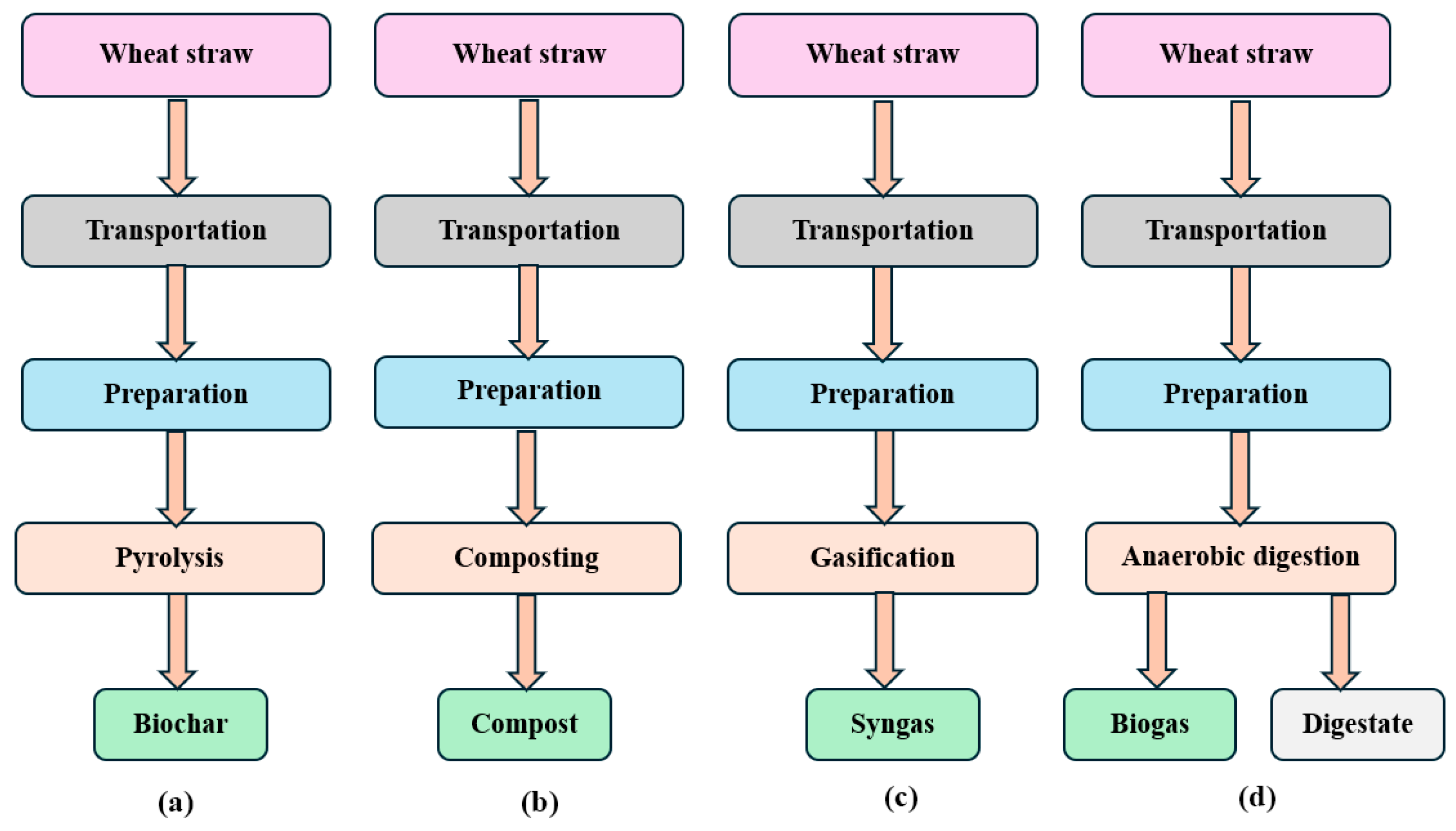 Bioengineering 11 00554 g001