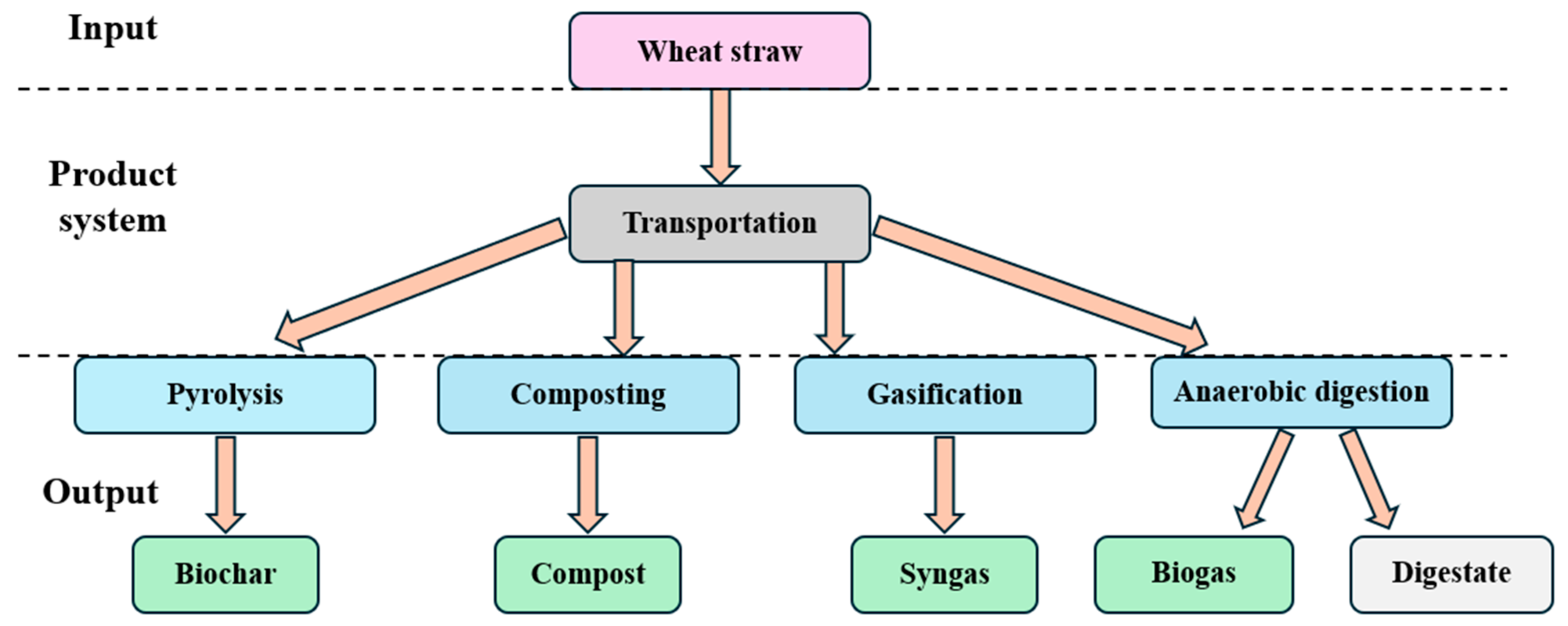 Bioengineering 11 00554 g002