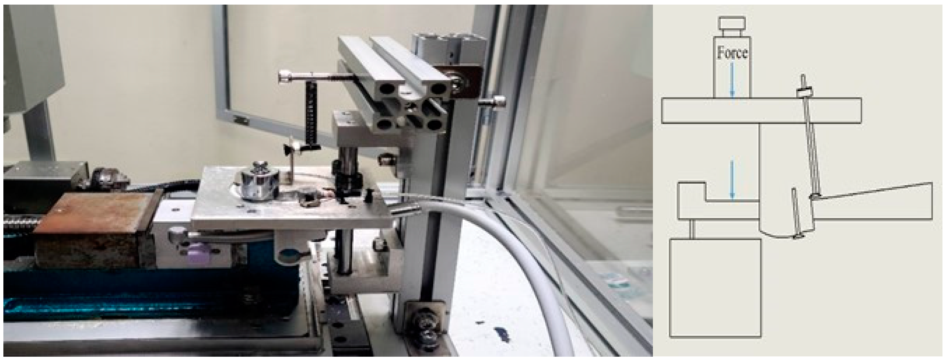 Bioengineering 11 00555 g010