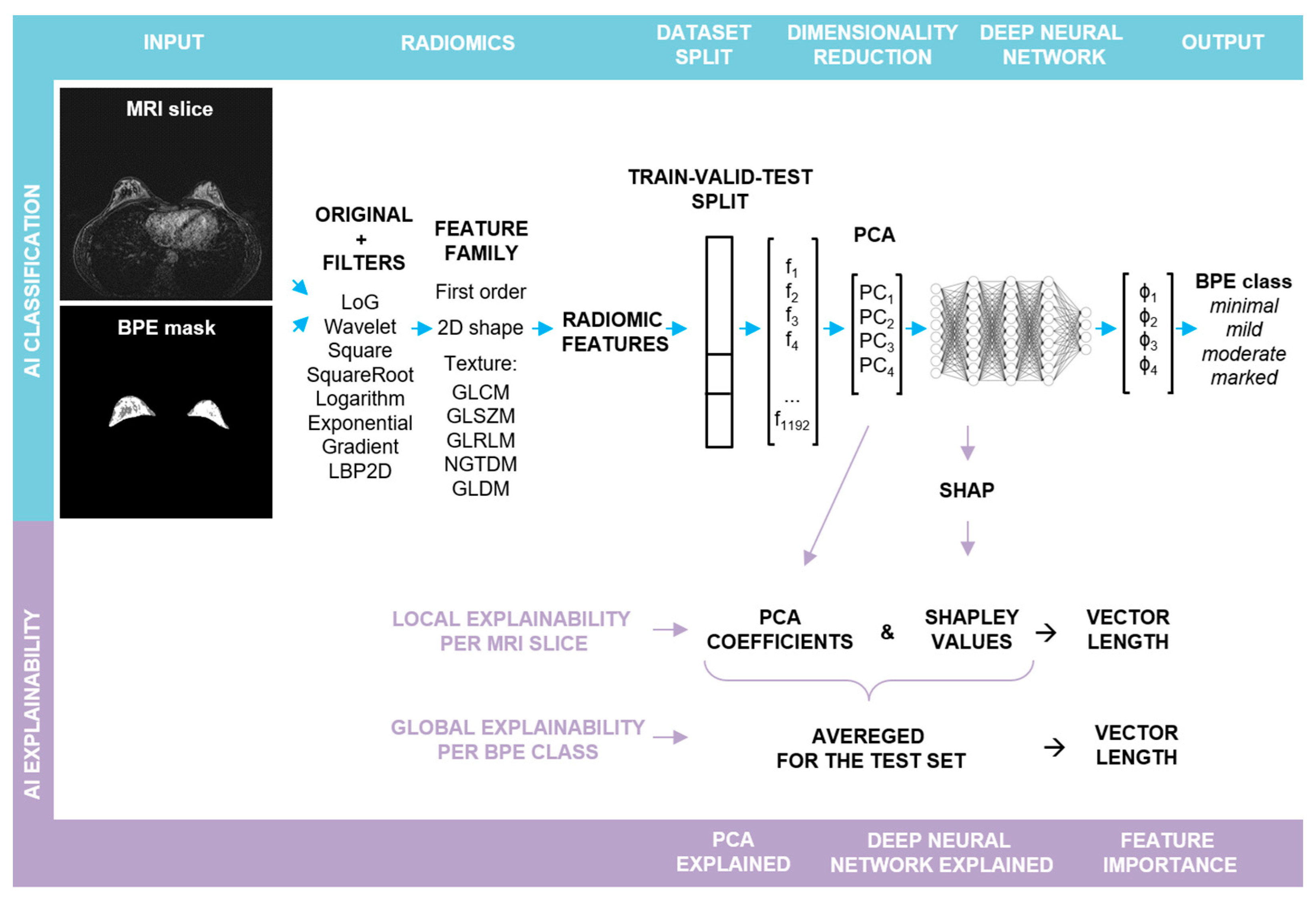 Bioengineering 11 00556 g001