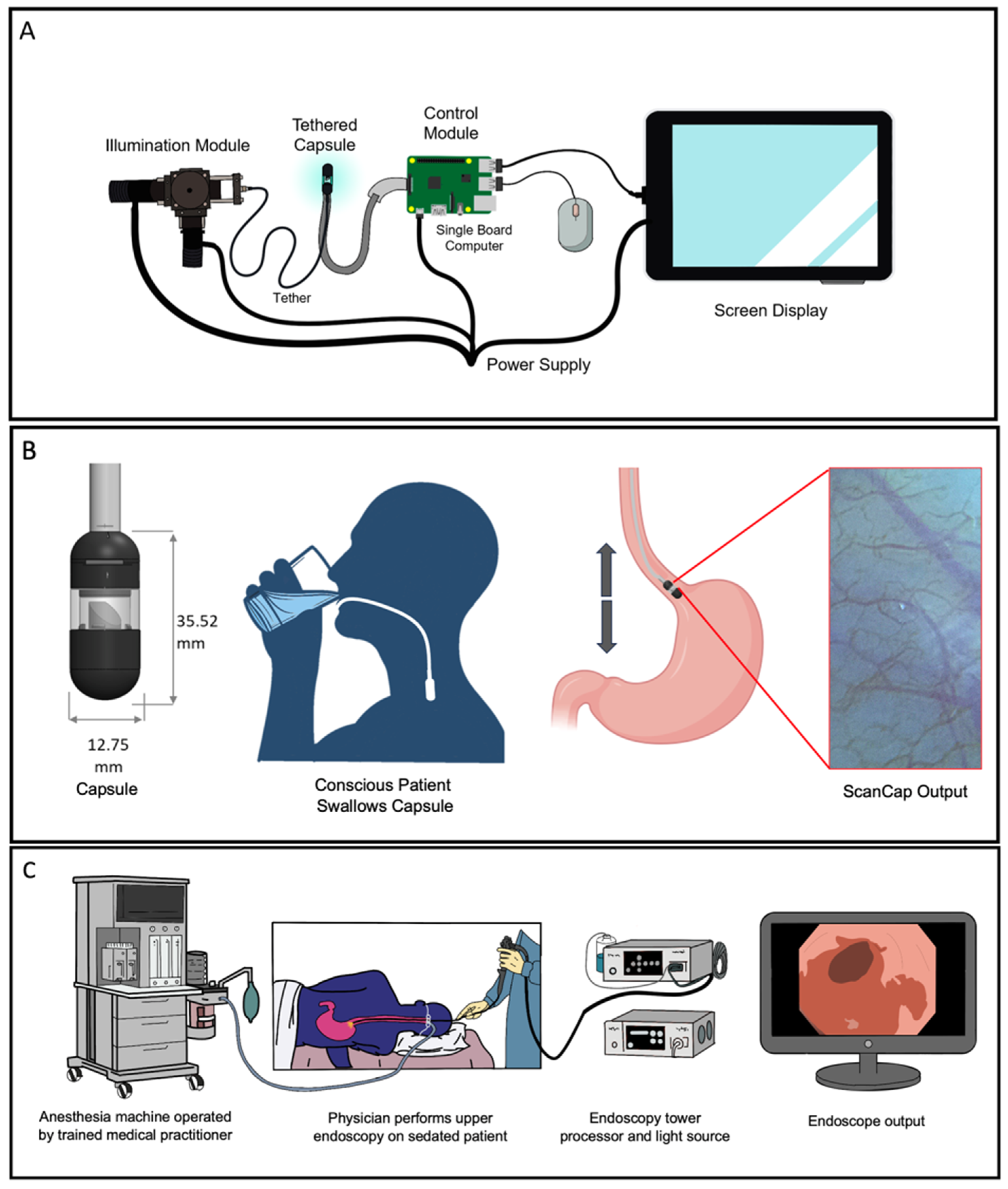 Bioengineering 11 00557 g001