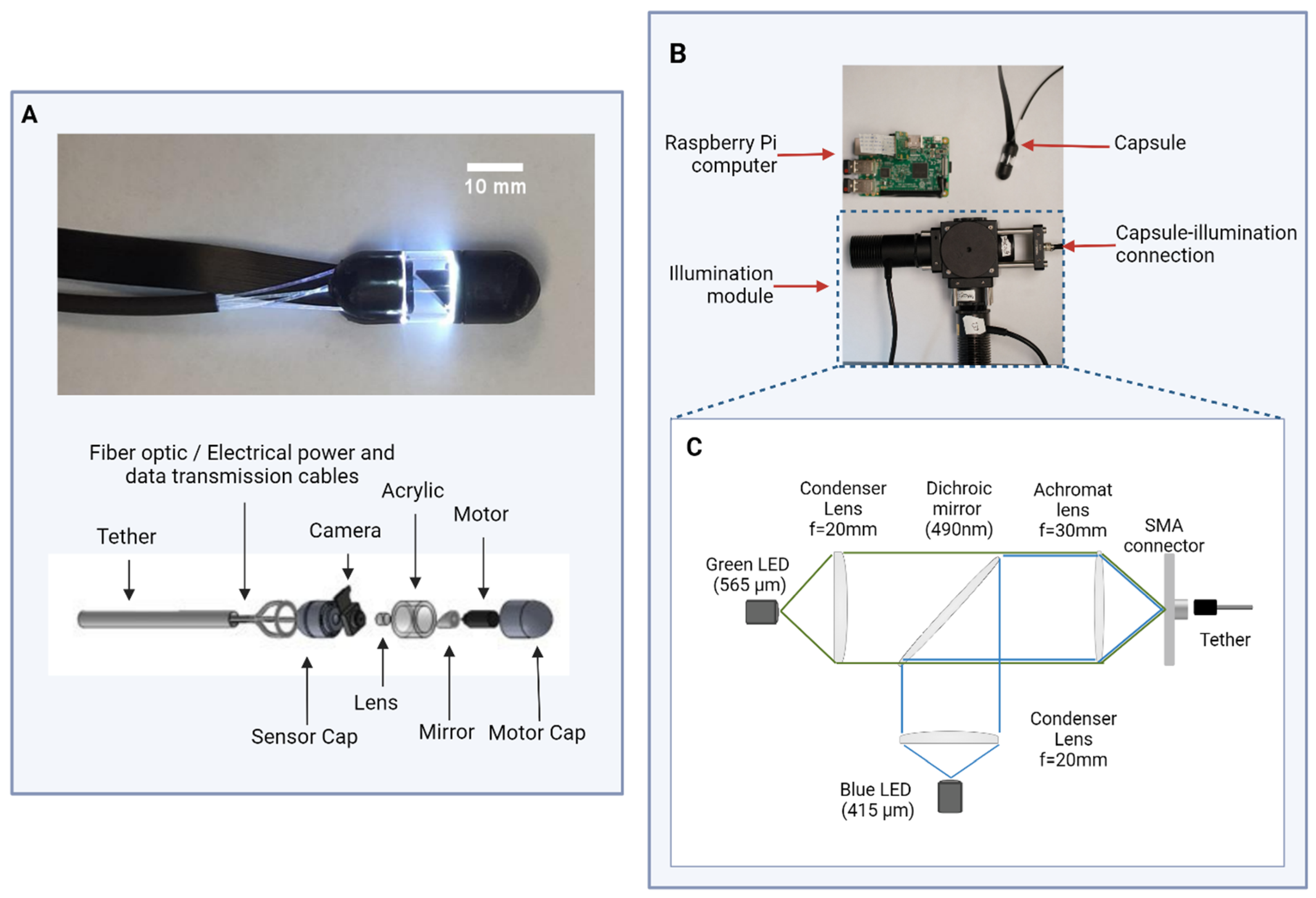 Bioengineering 11 00557 g002