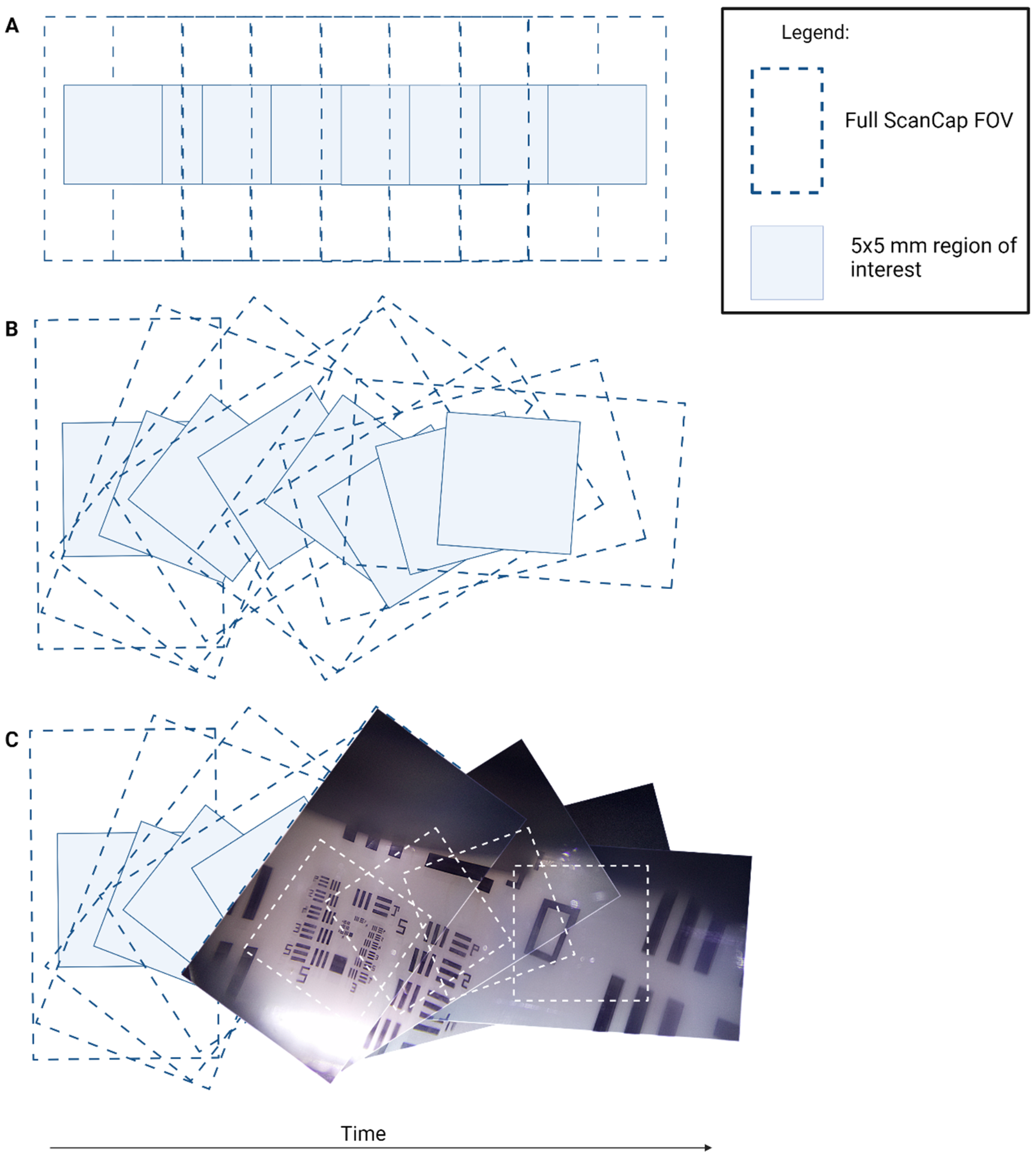Bioengineering 11 00557 g003