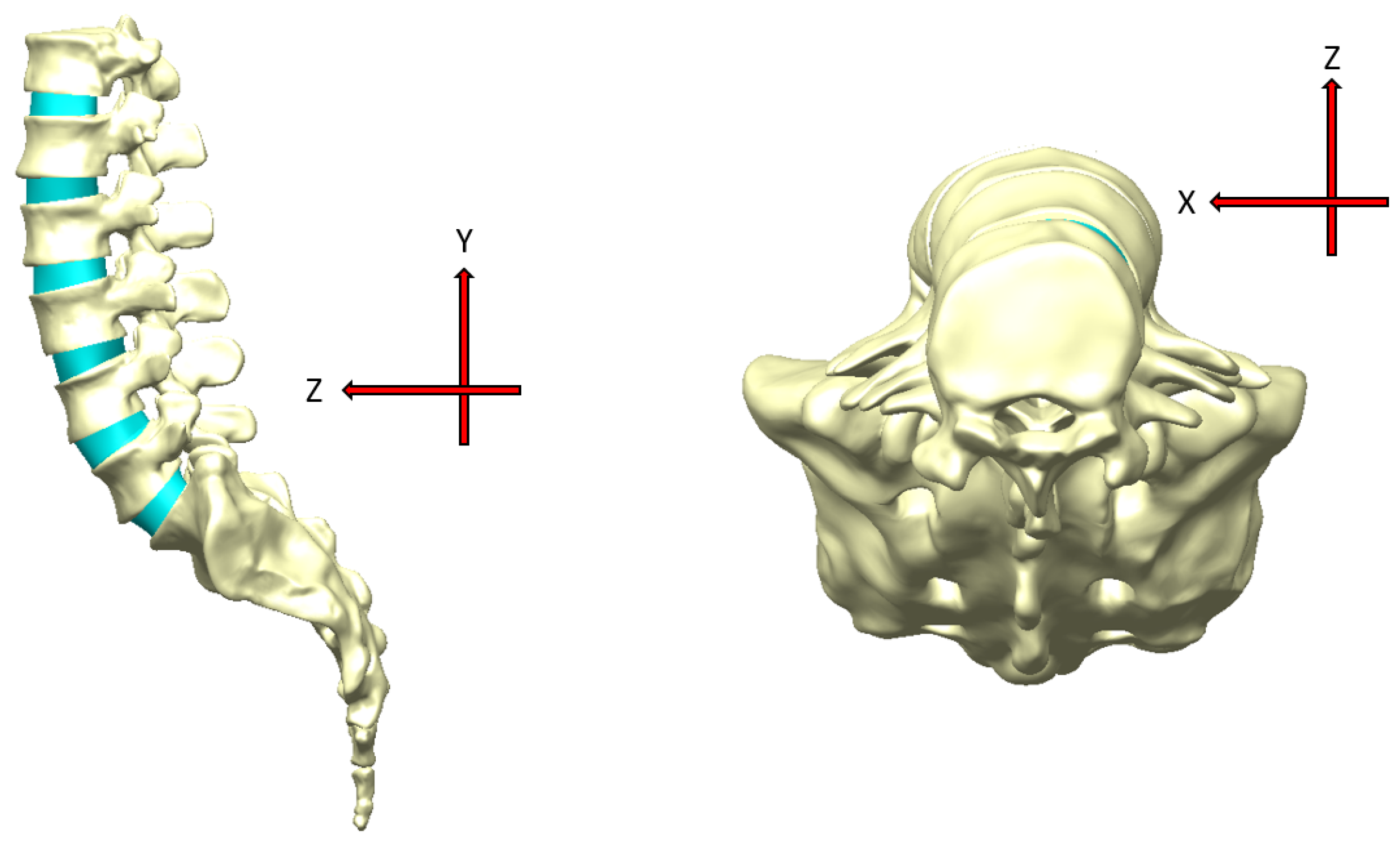 Bioengineering 11 00558 g008