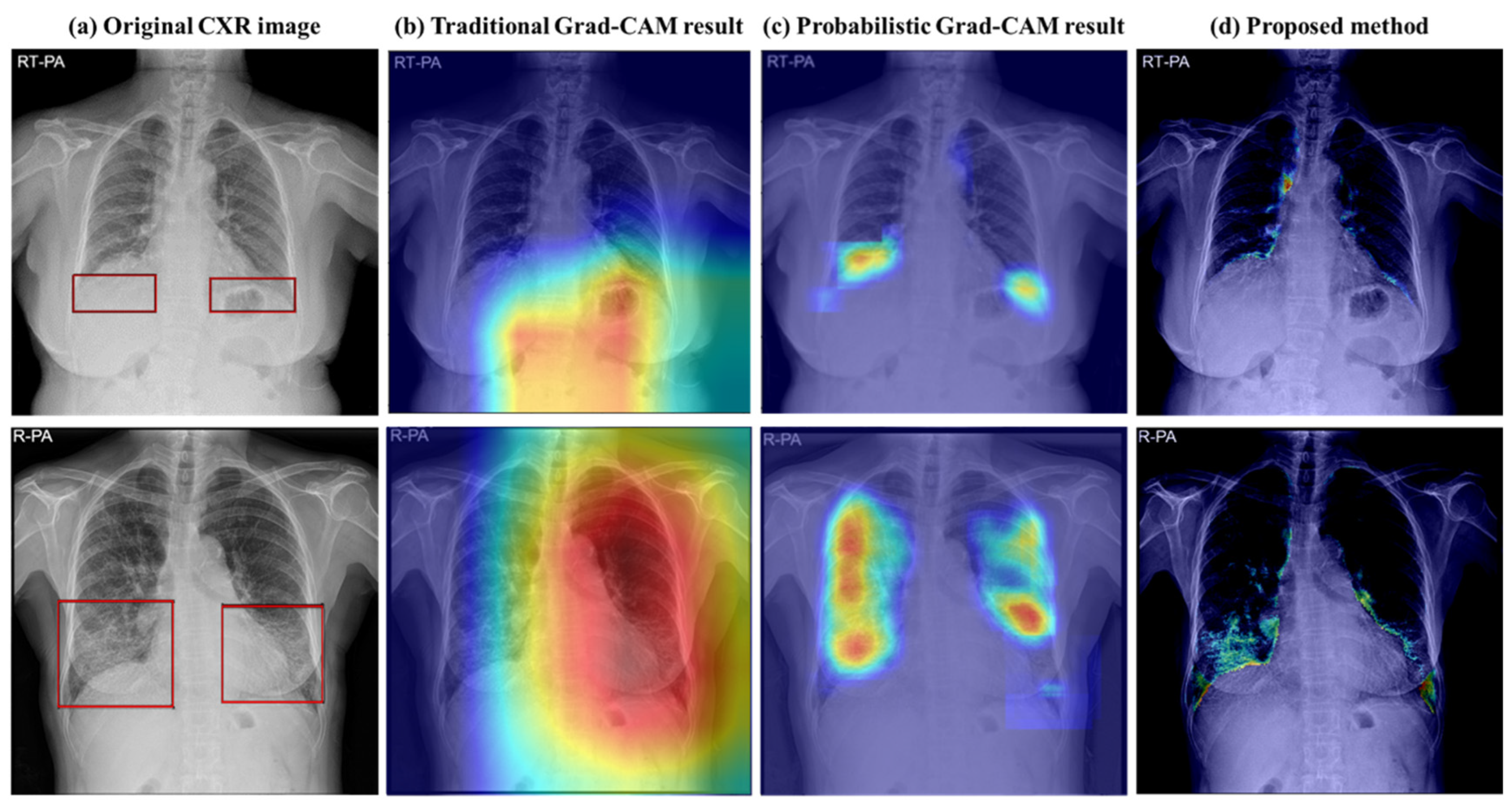 Bioengineering 11 00562 g001