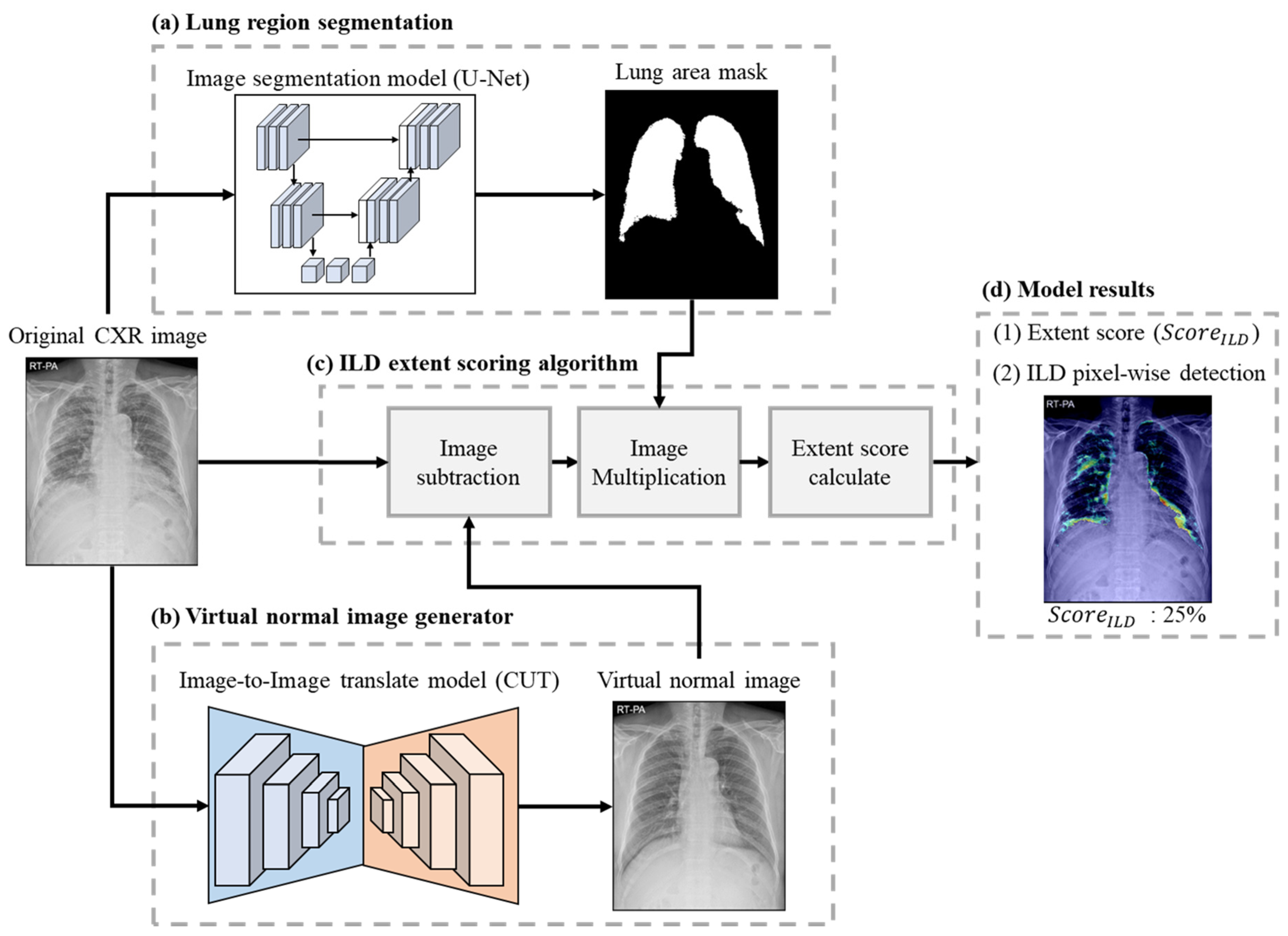 Bioengineering 11 00562 g002