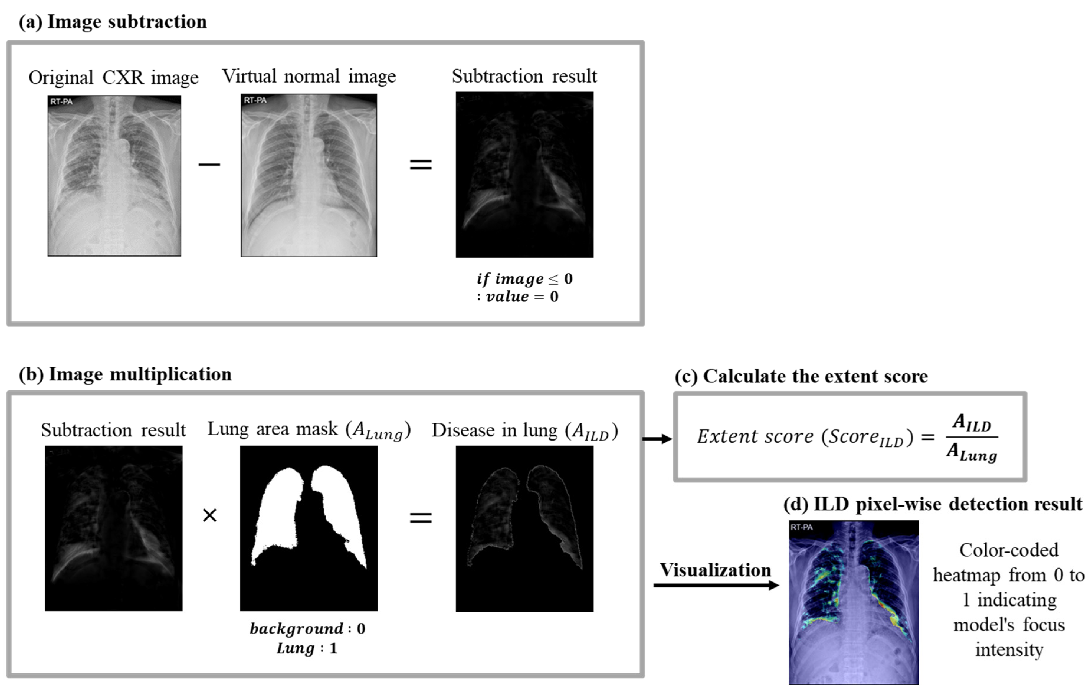 Bioengineering 11 00562 g004