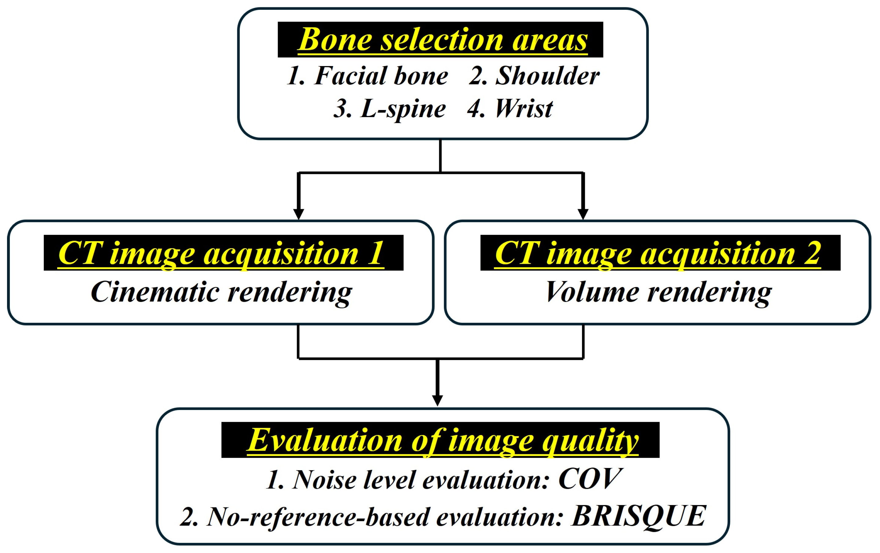 Bioengineering 11 00563 g001