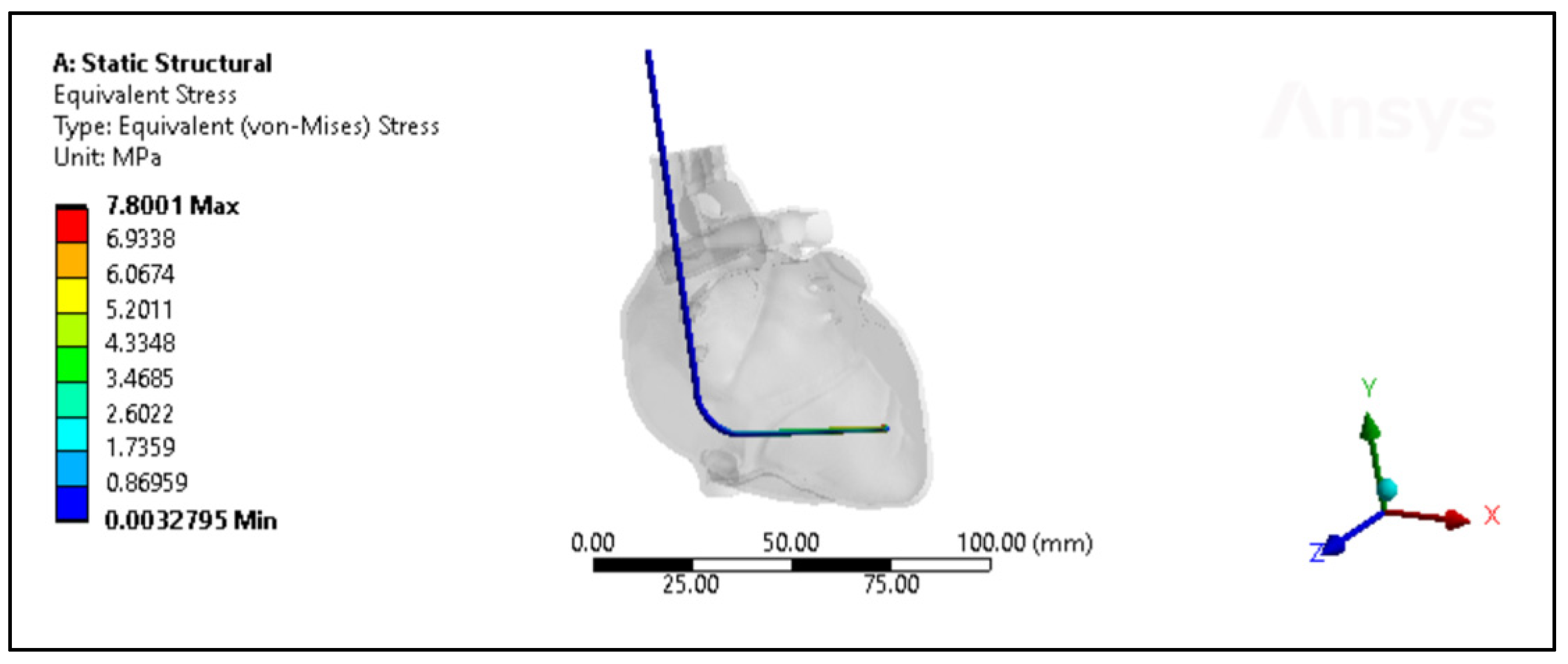 Bioengineering 11 00564 g007