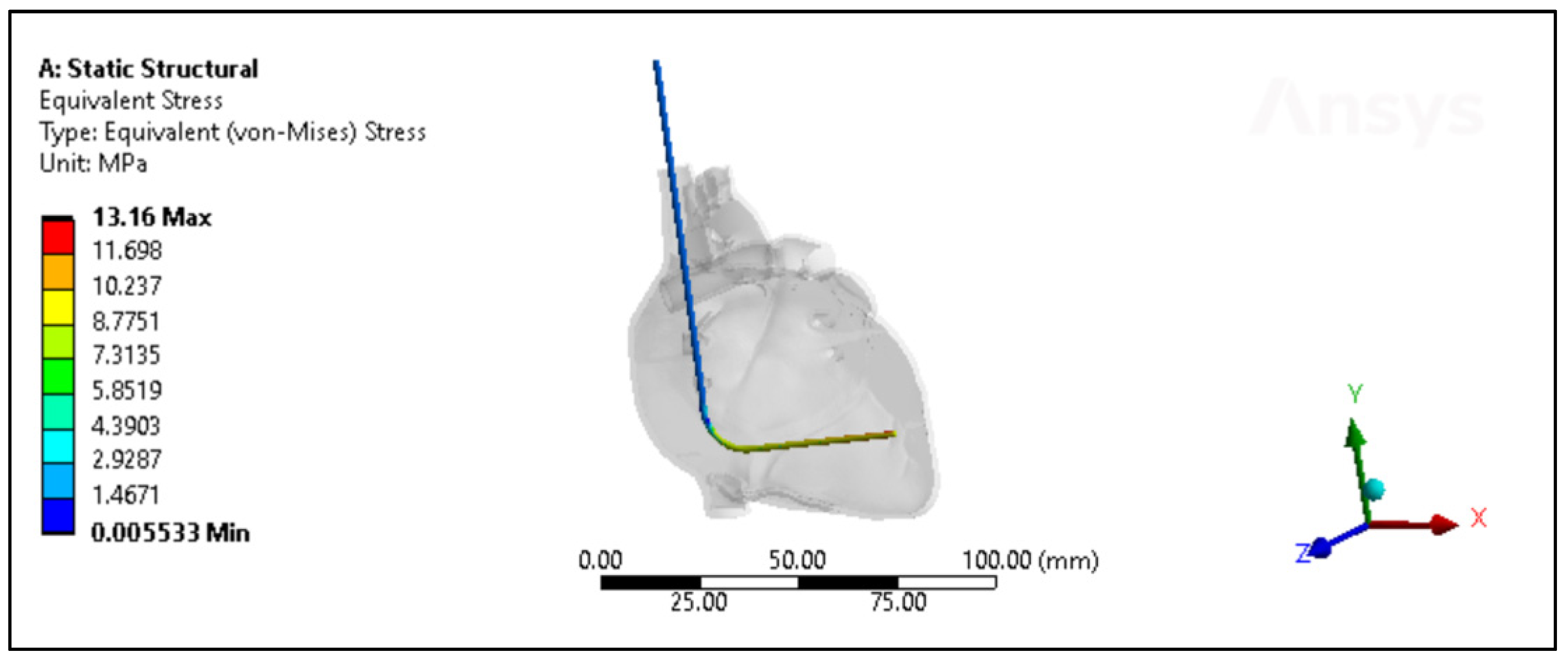 Bioengineering 11 00564 g009