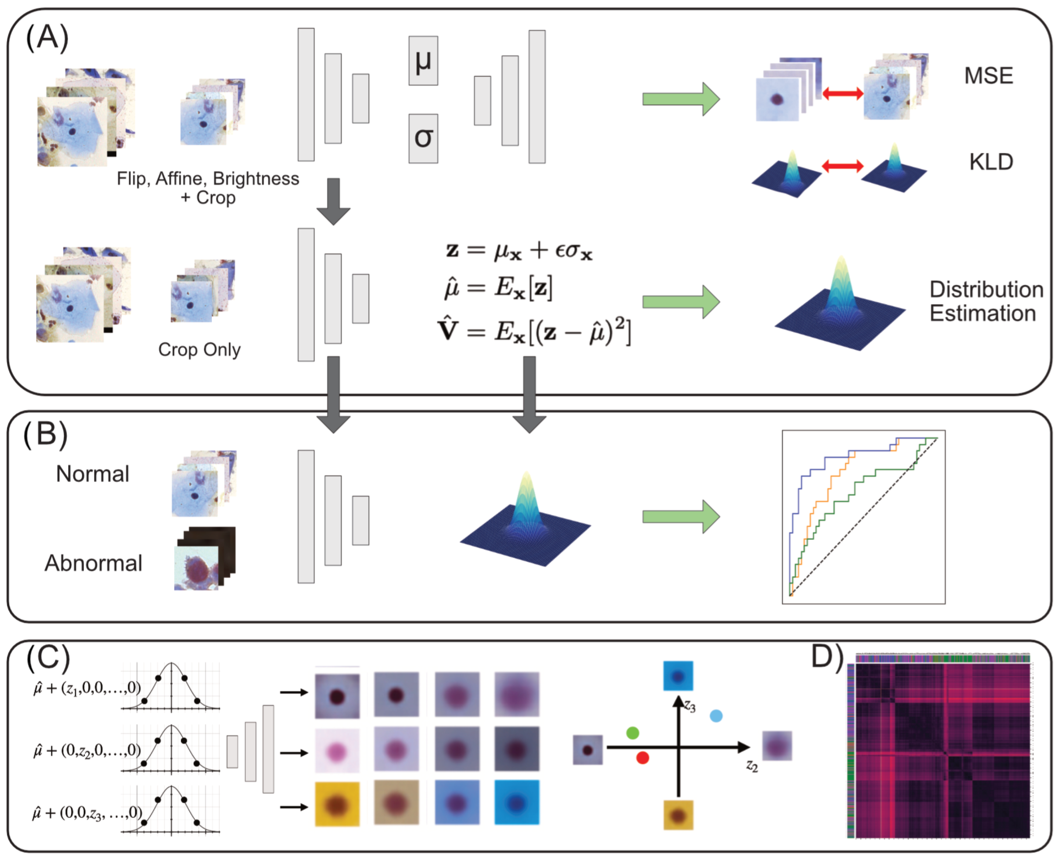 Bioengineering 11 00567 g001