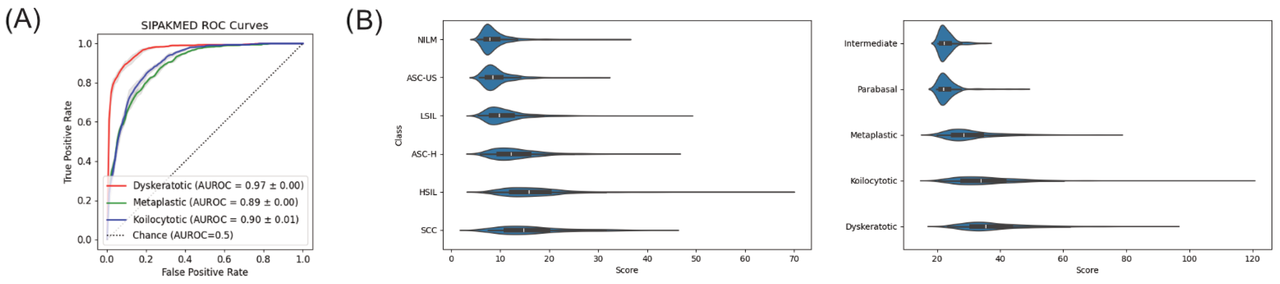 Bioengineering 11 00567 g005