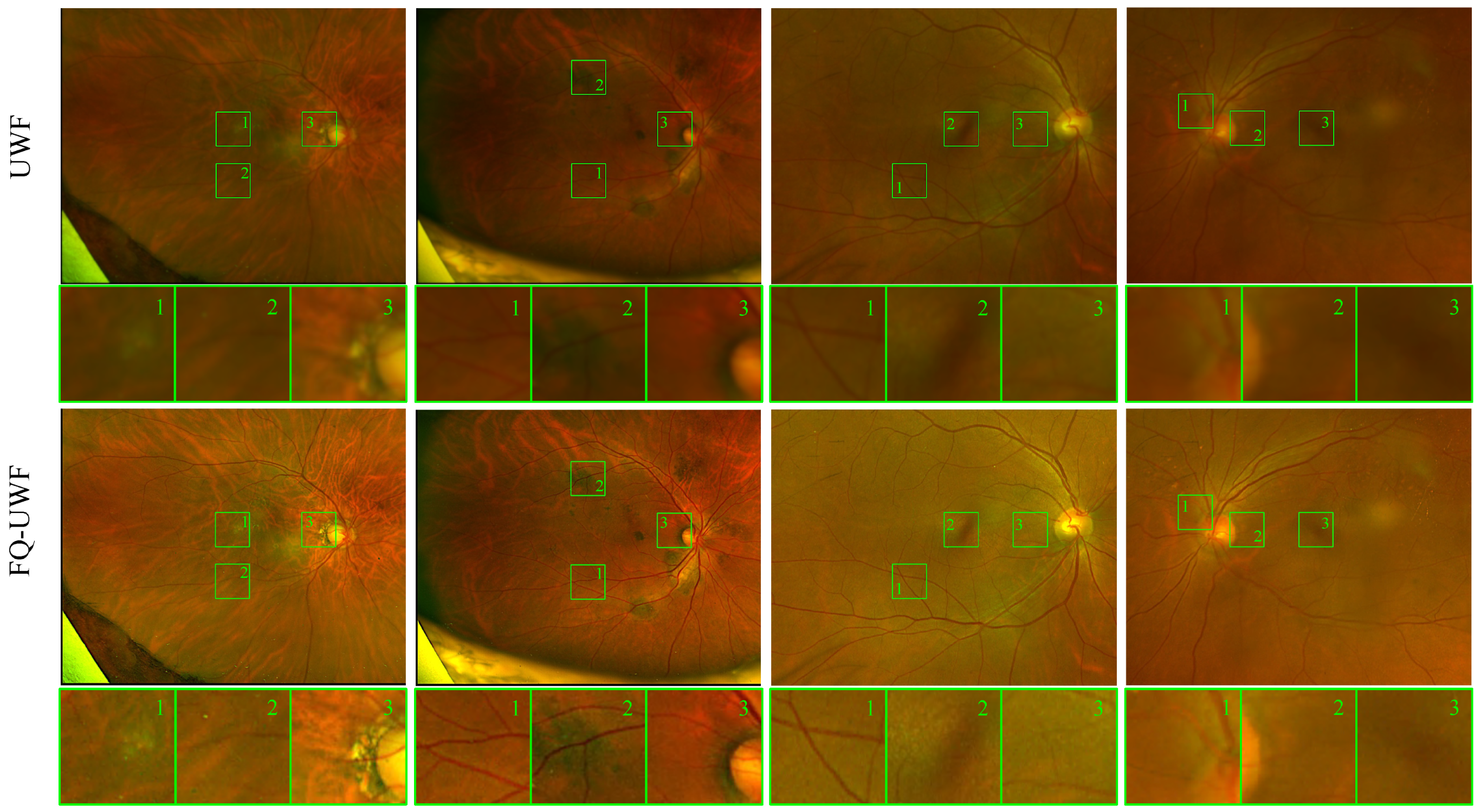 Bioengineering 11 00568 g002