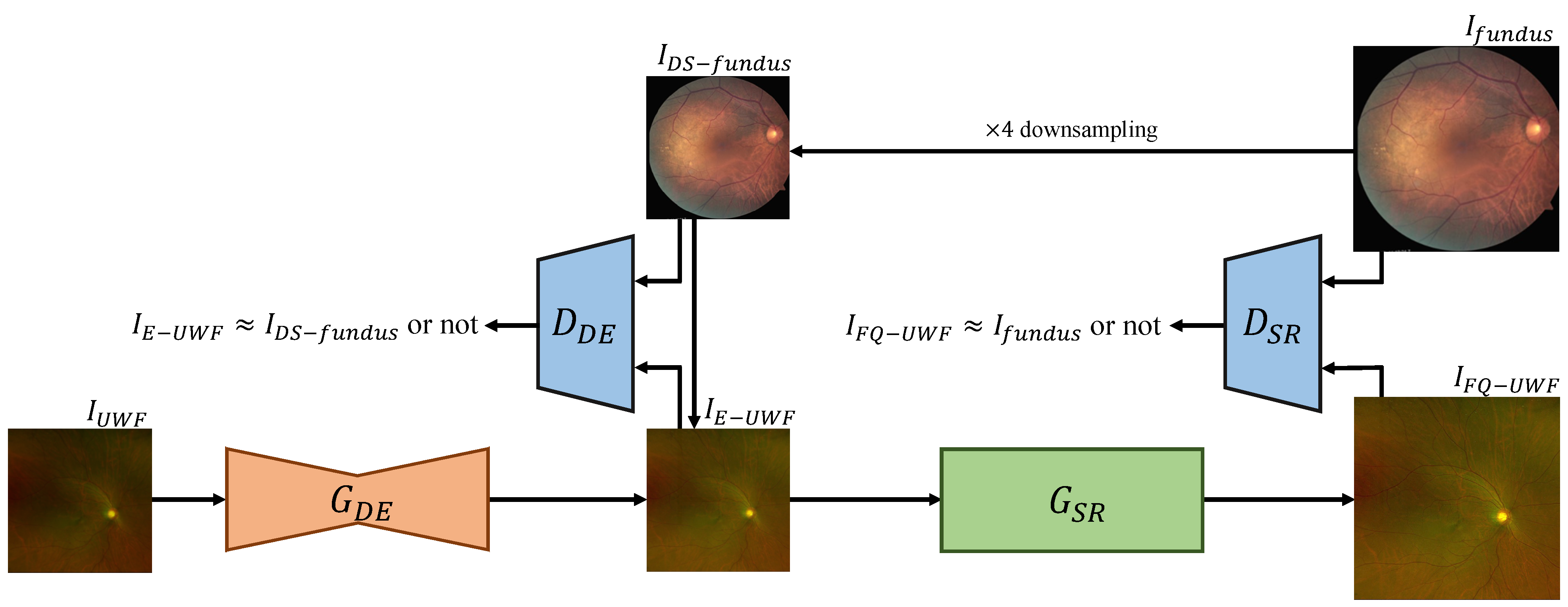 Bioengineering 11 00568 g003