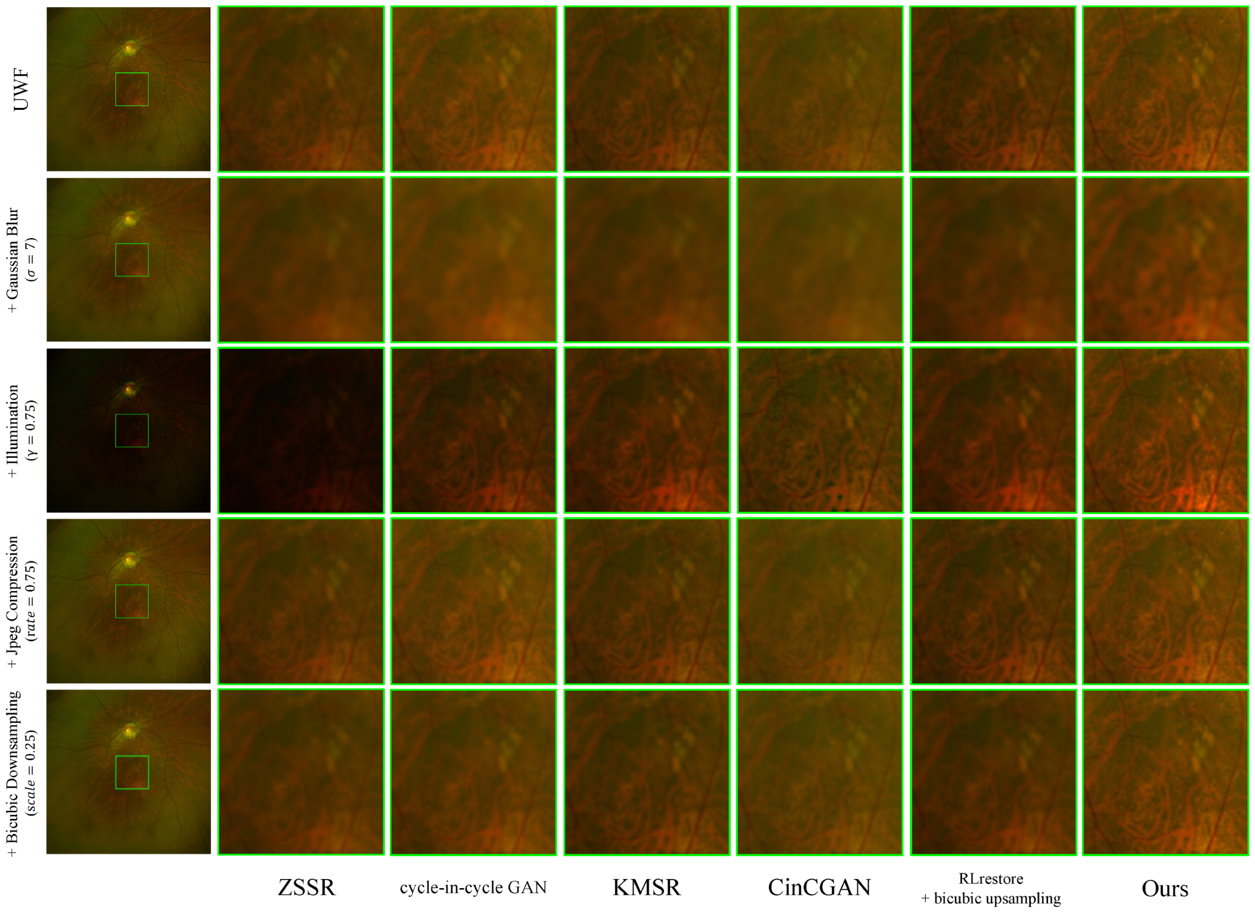 Bioengineering 11 00568 g006