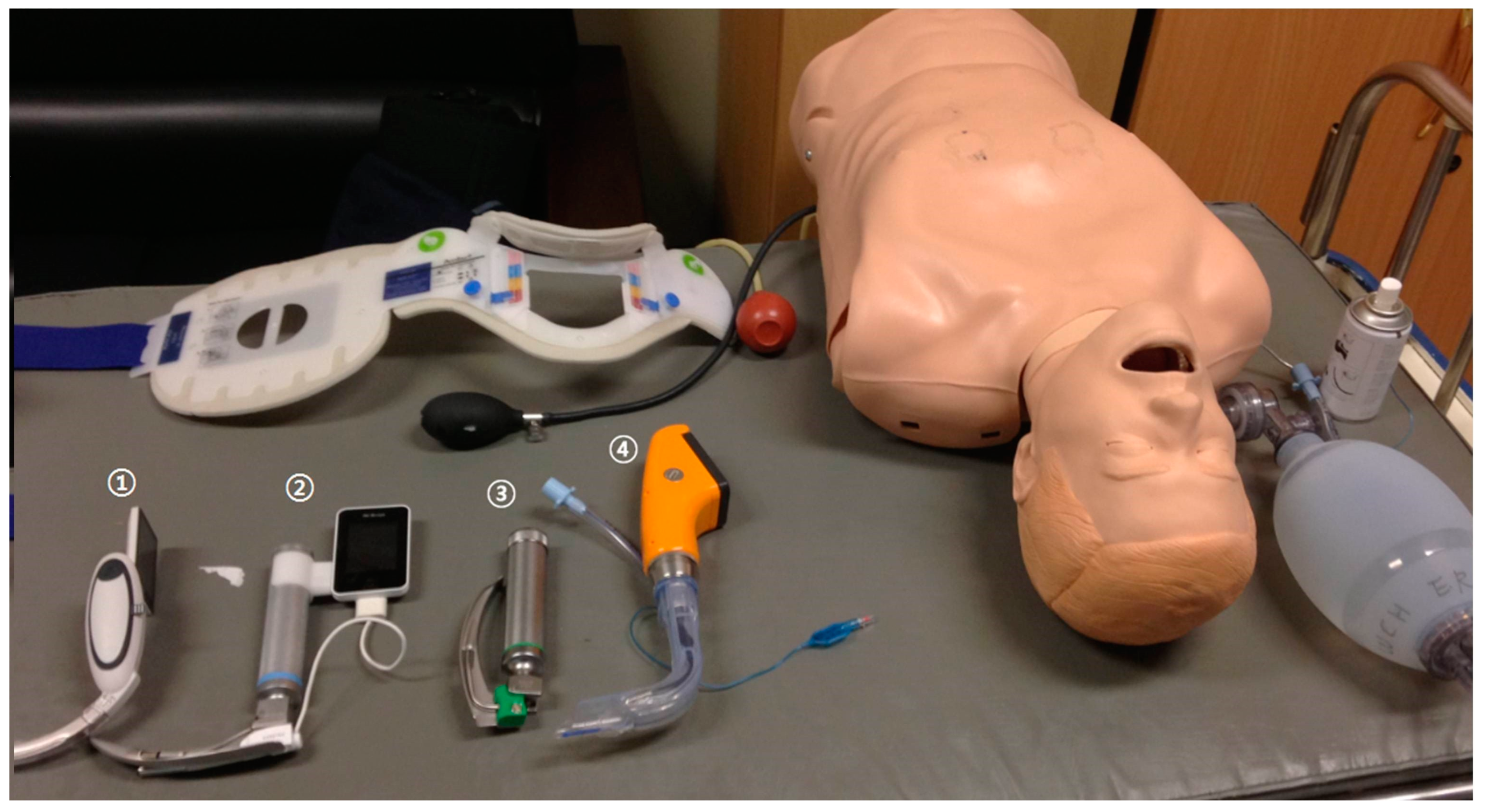 Bioengineering 11 00570 g002