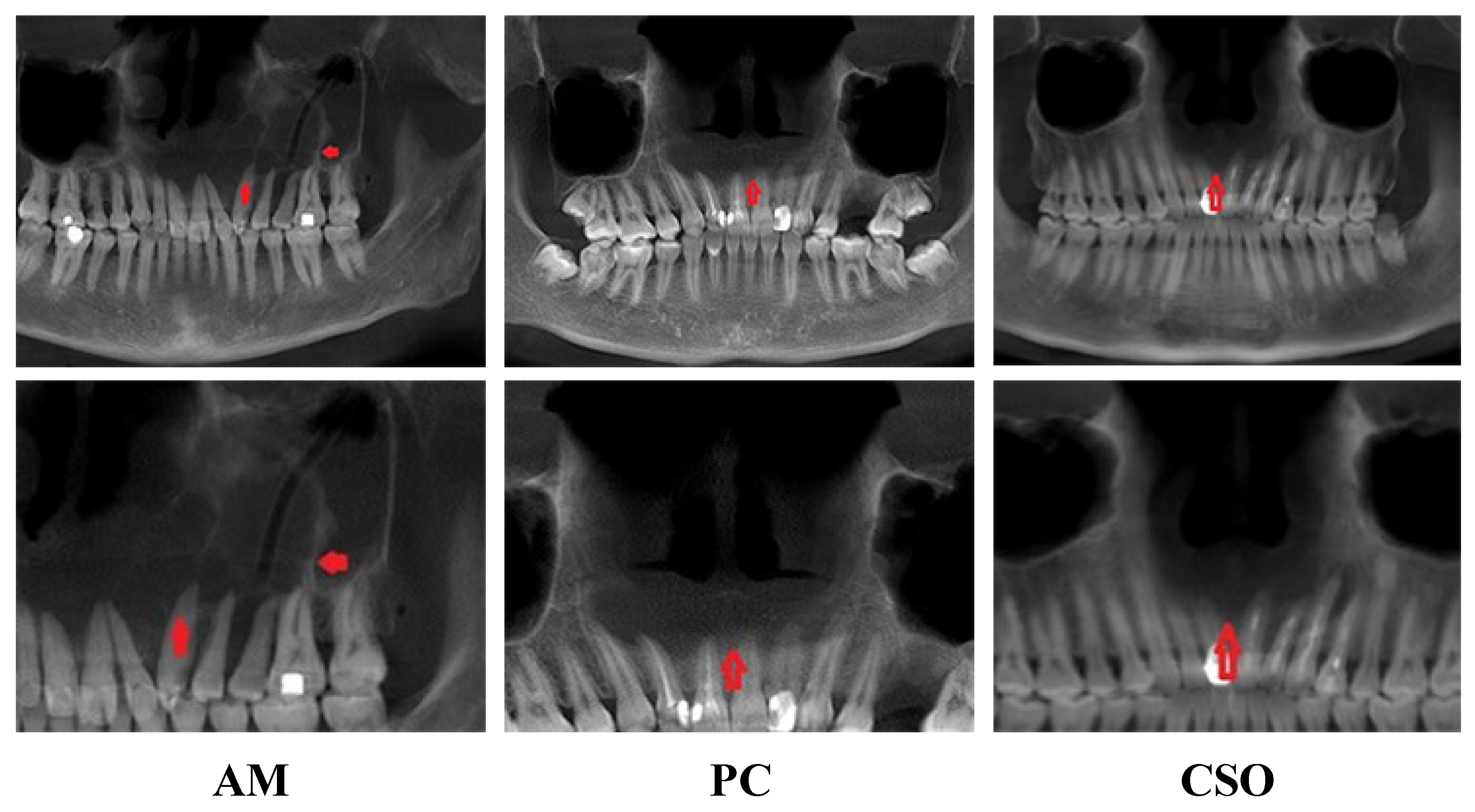 Bioengineering 11 00571 g001