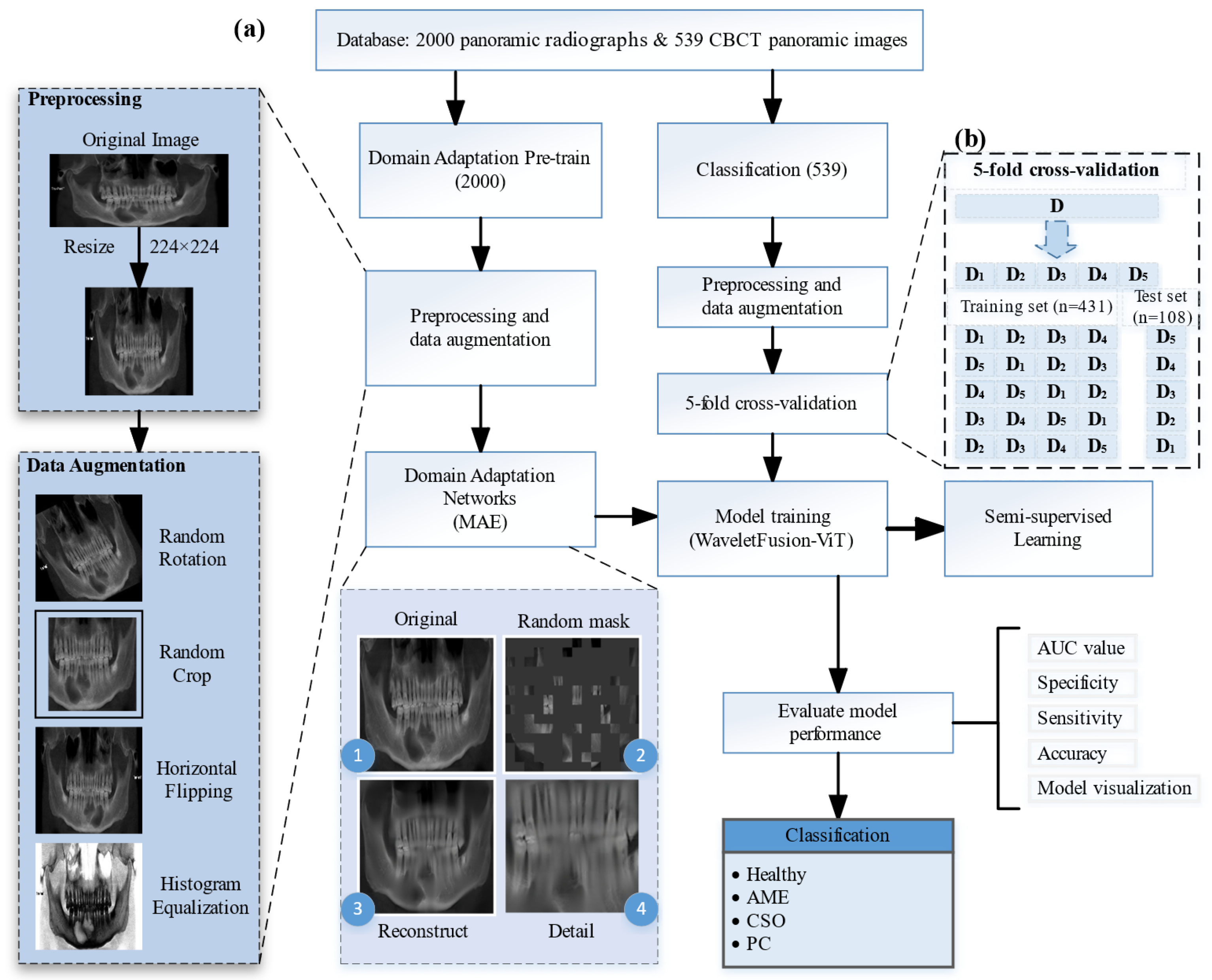 Bioengineering 11 00571 g003