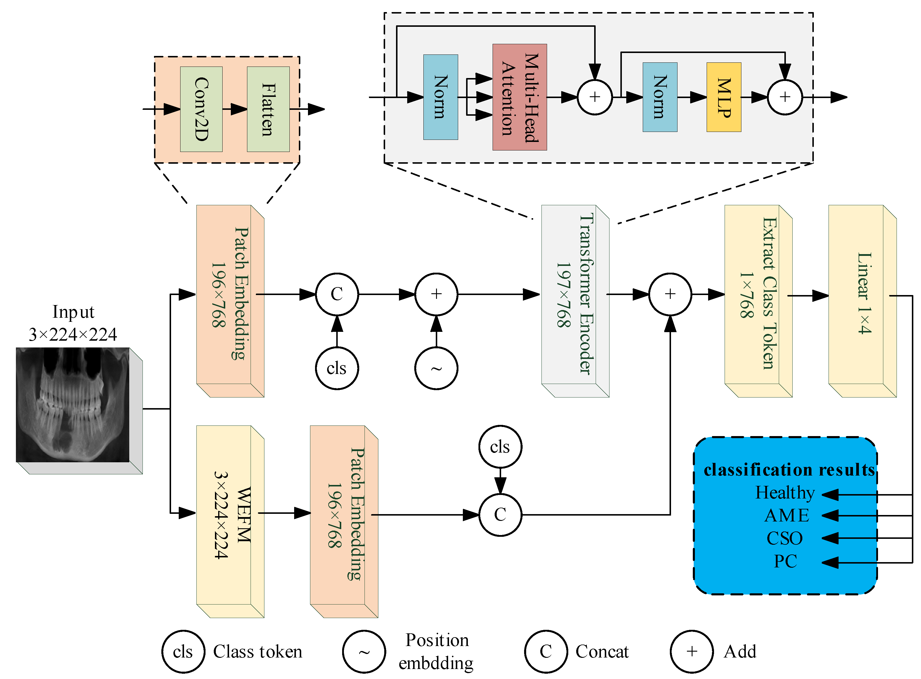 Bioengineering 11 00571 g006