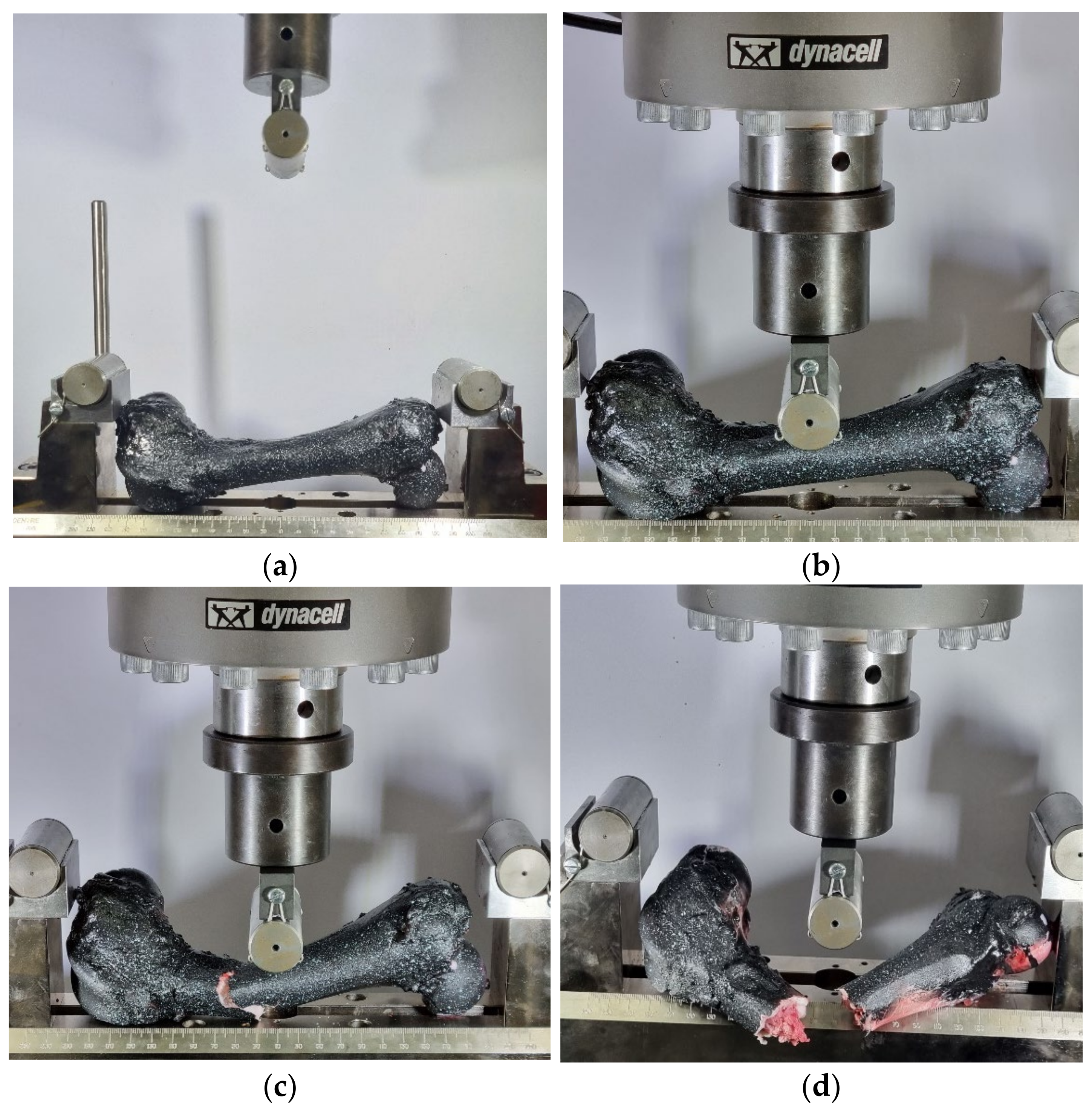 Bioengineering 11 00572 g007