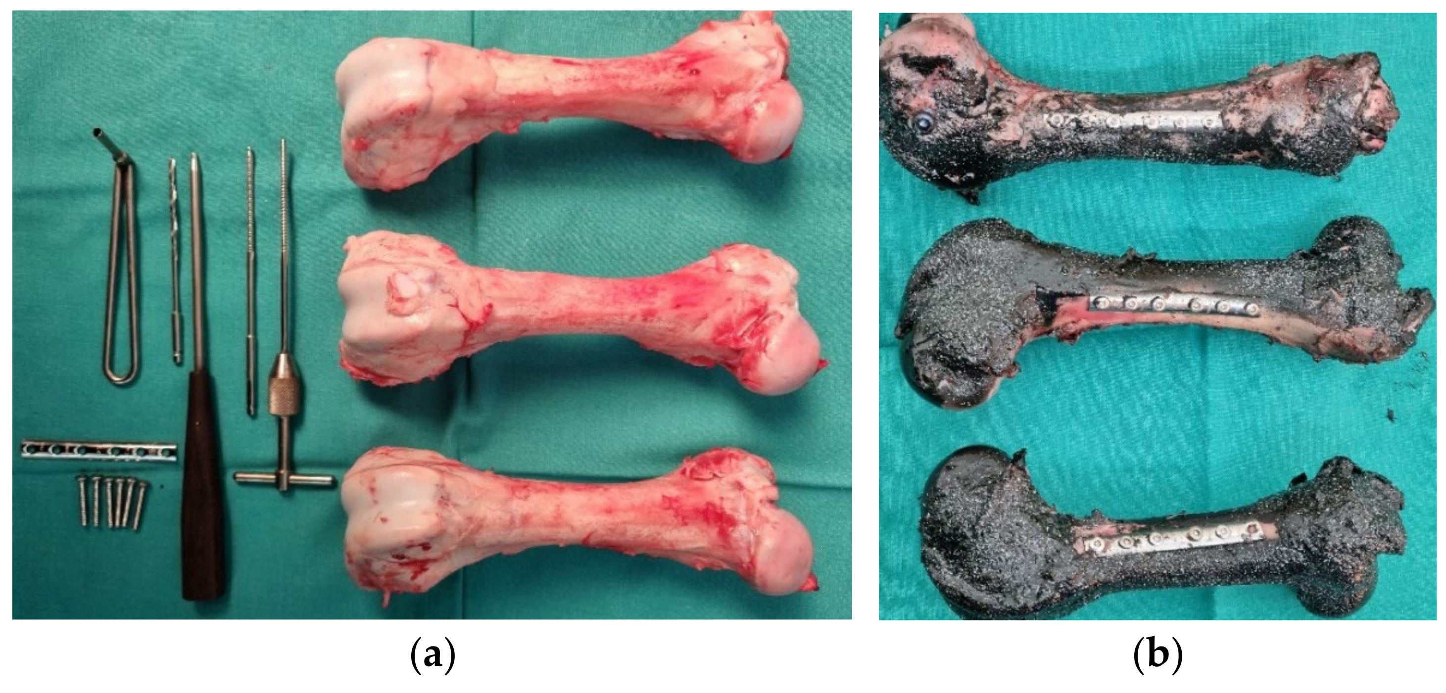 Bioengineering 11 00572 g008