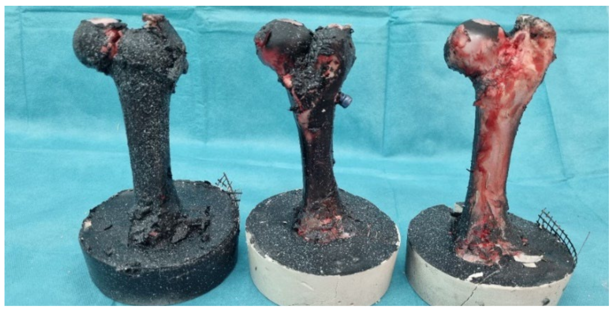 Bioengineering 11 00572 g013