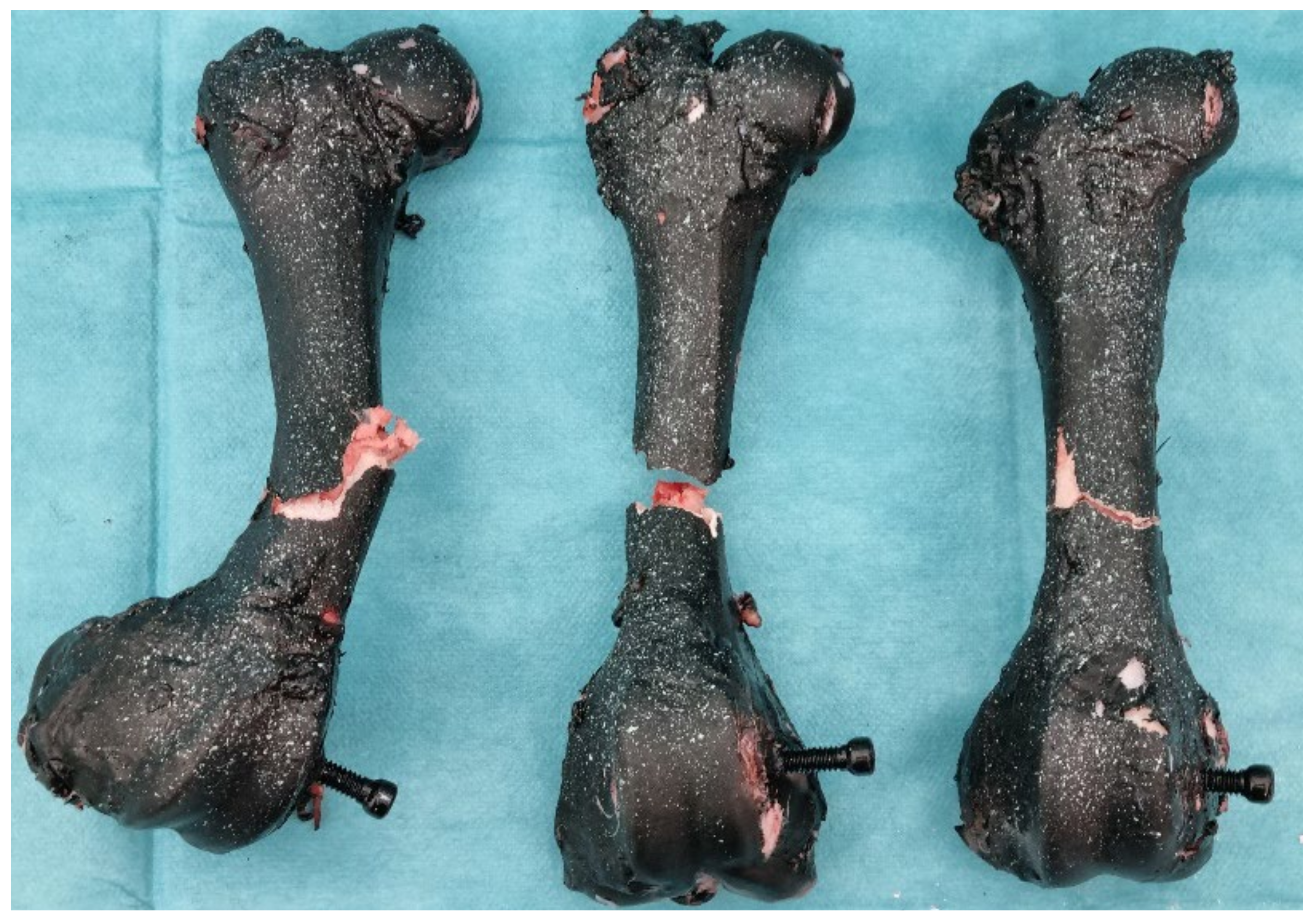 Bioengineering 11 00572 g015