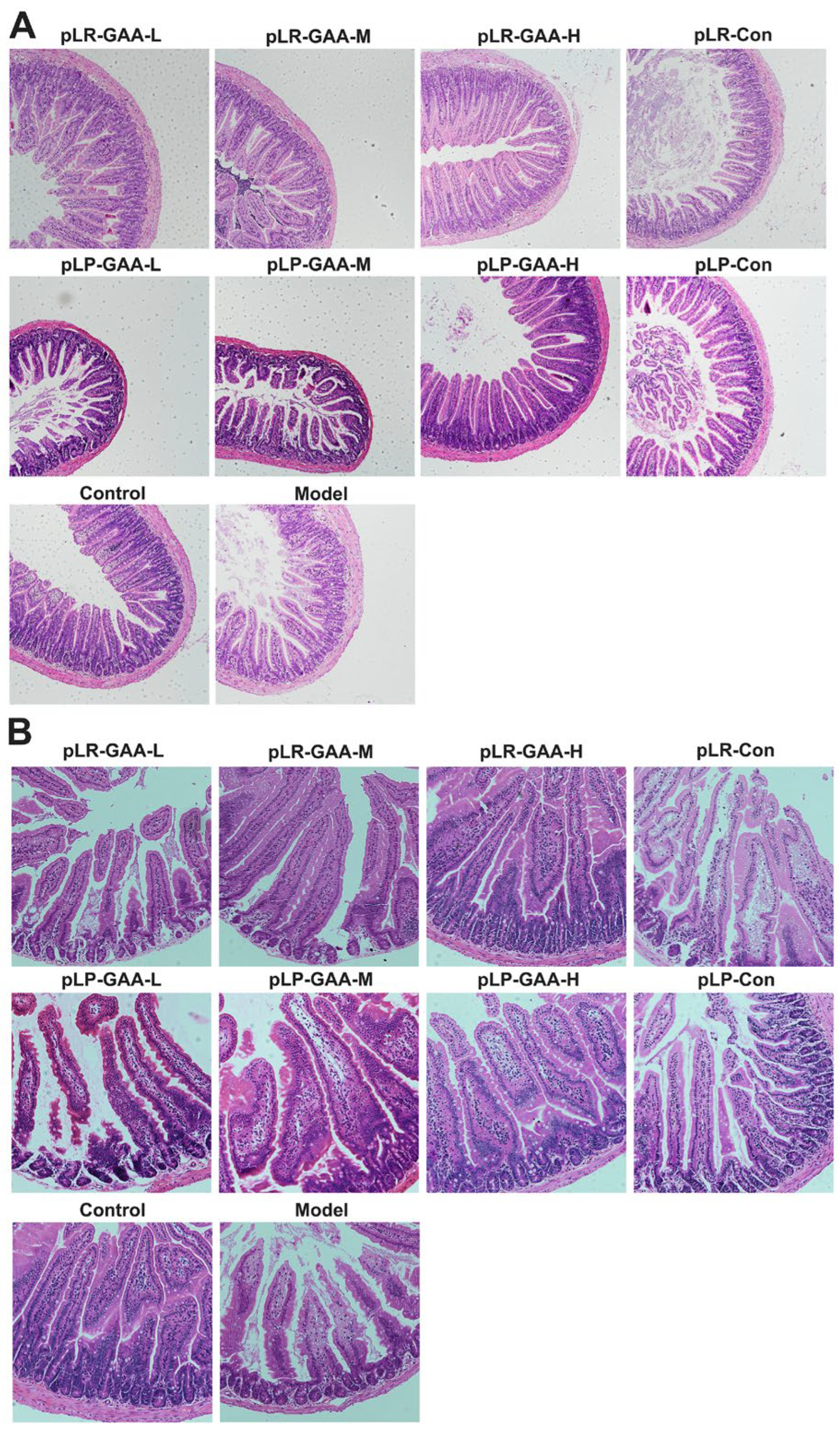 Bioengineering 11 00574 g004