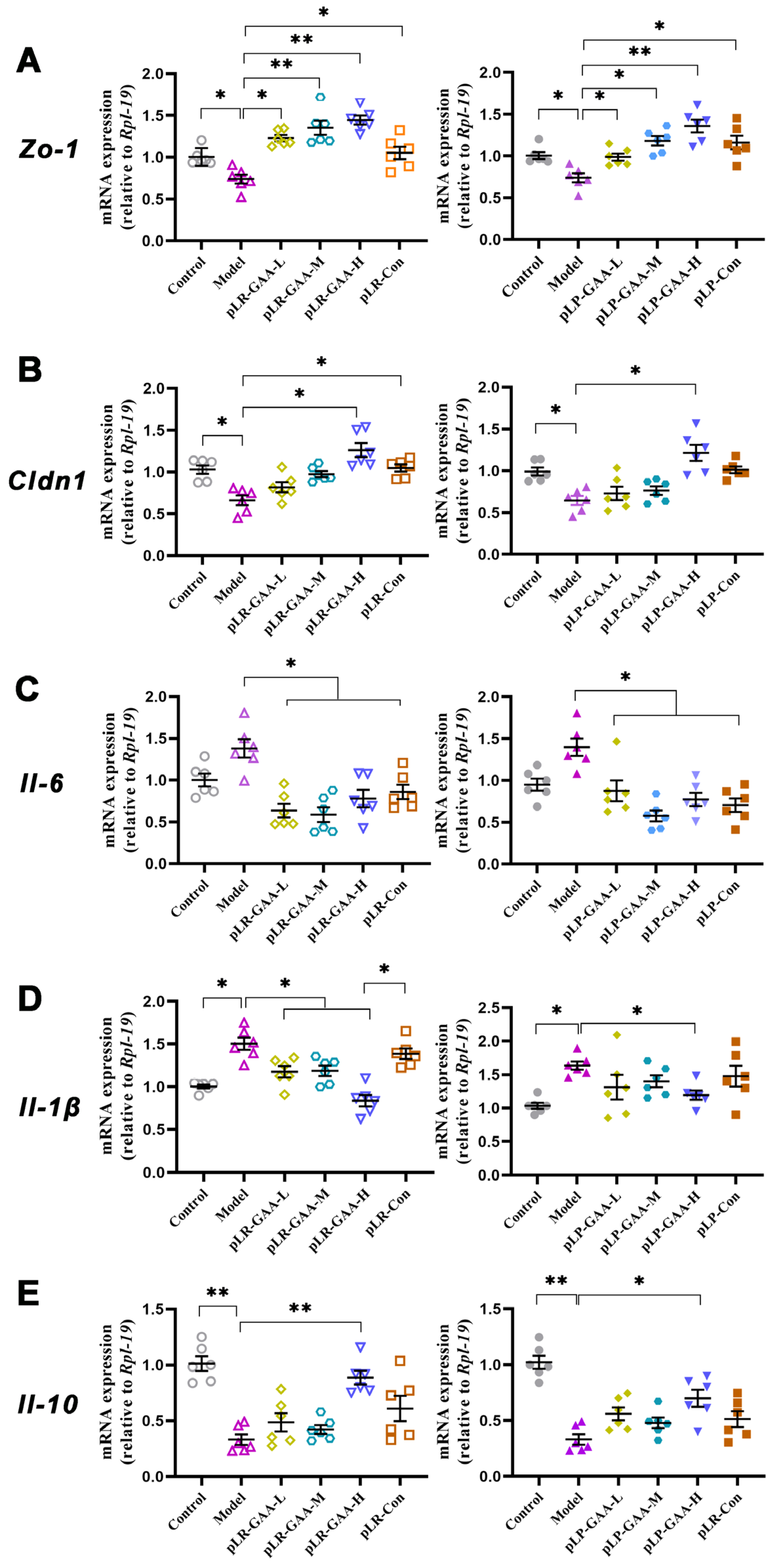 Bioengineering 11 00574 g005