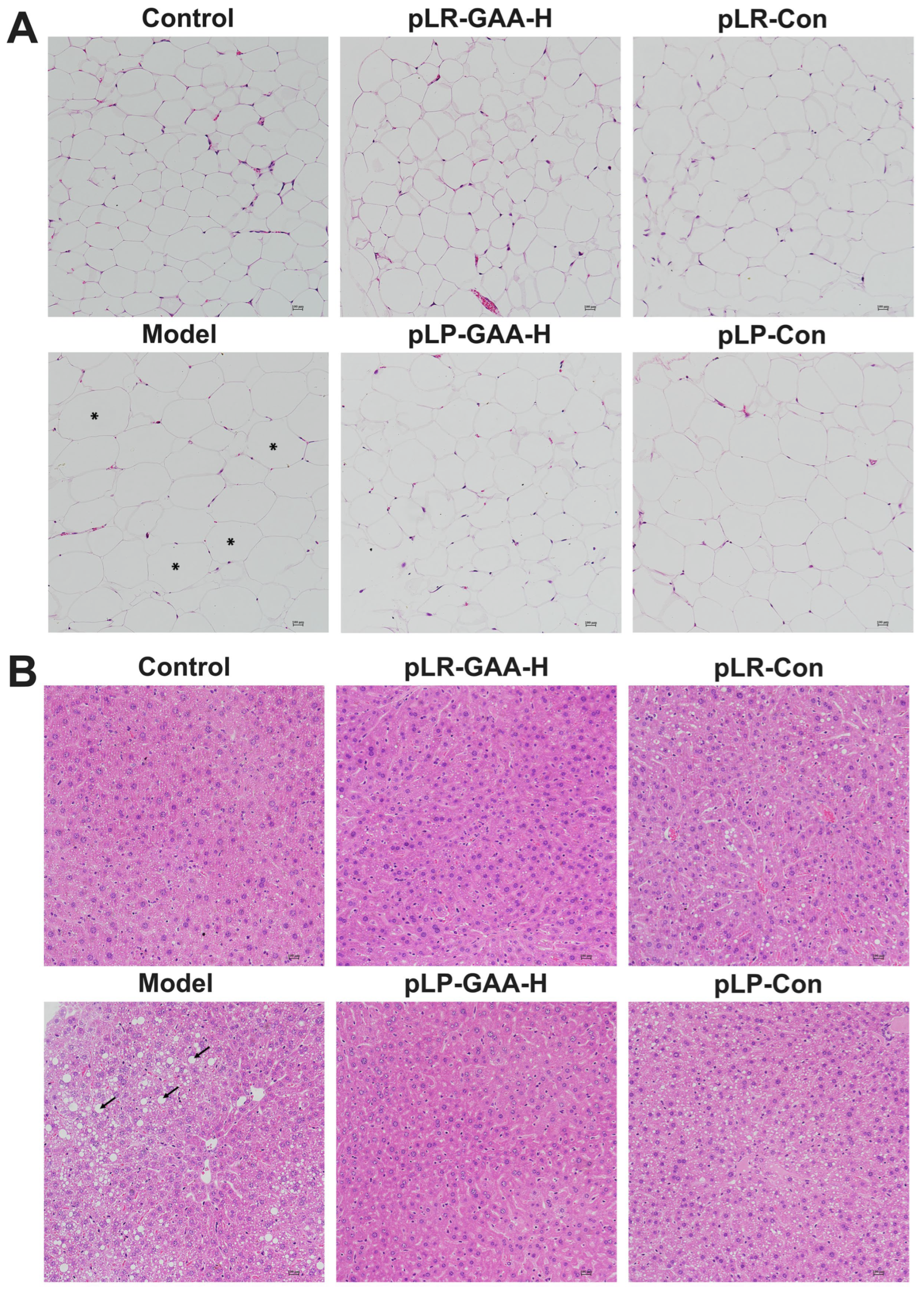 Bioengineering 11 00574 g007