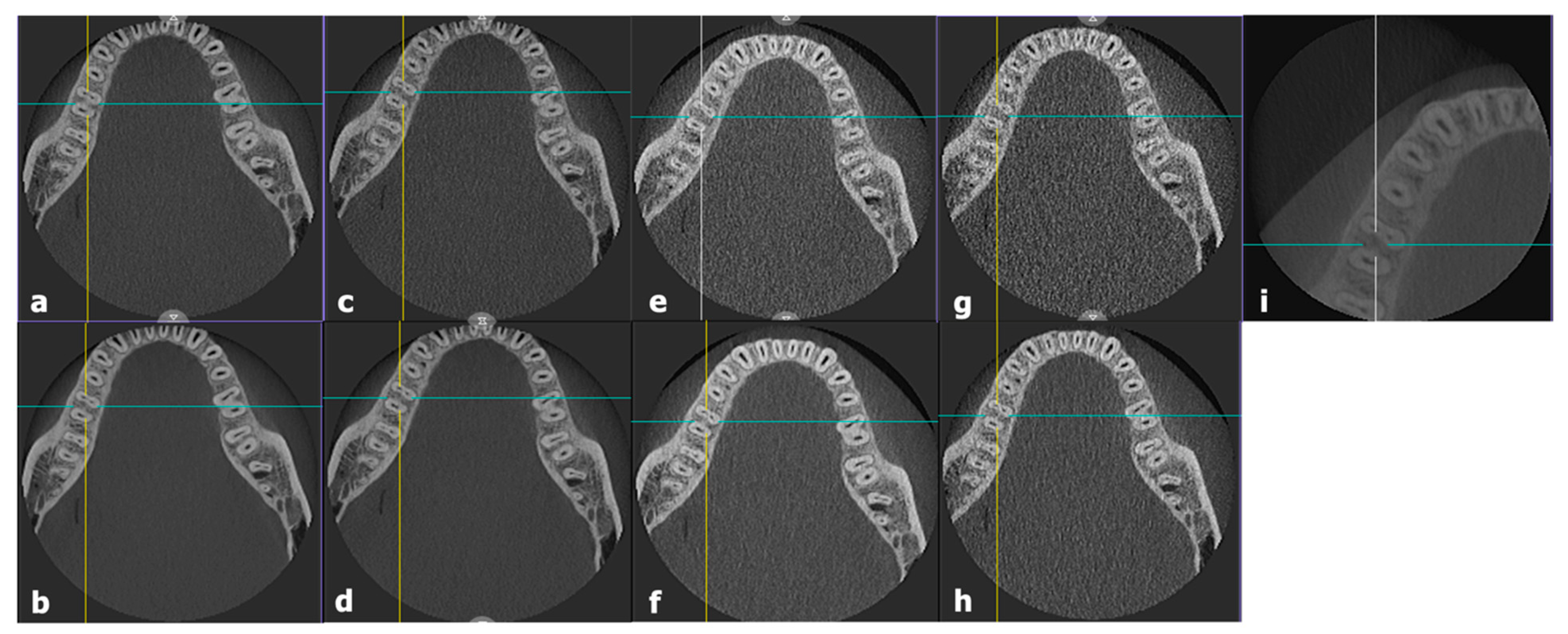 Bioengineering 11 00576 g002