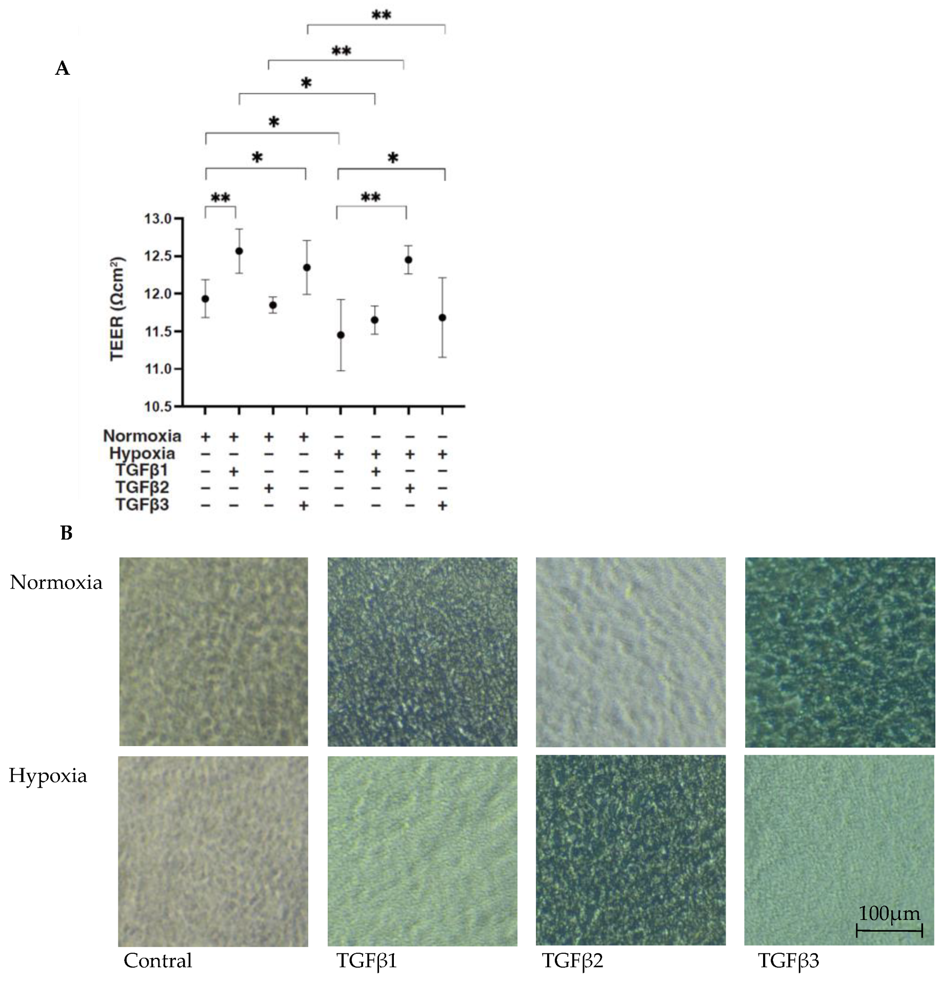 Bioengineering 11 00581 g001