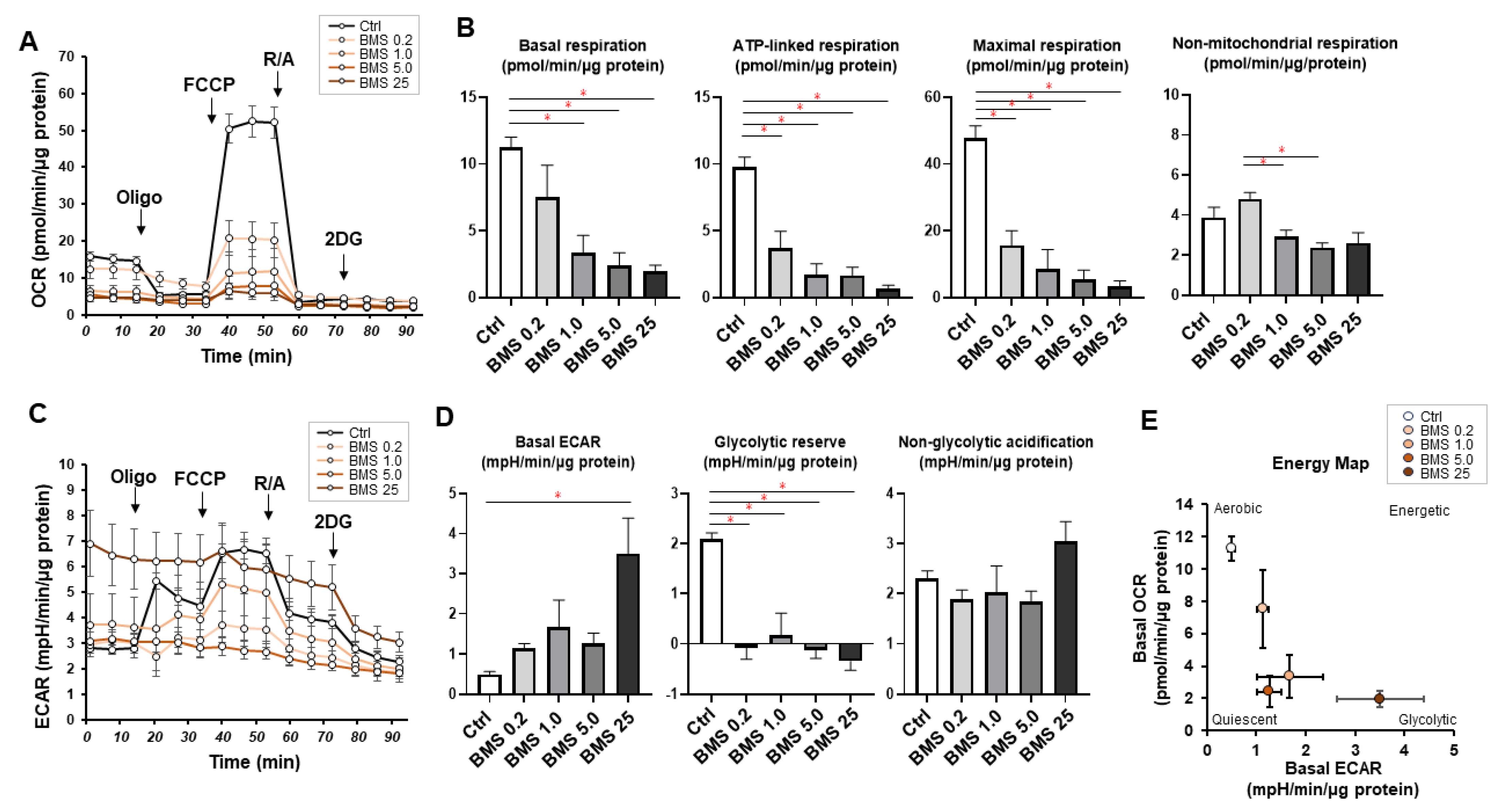 Bioengineering 11 00584 g003