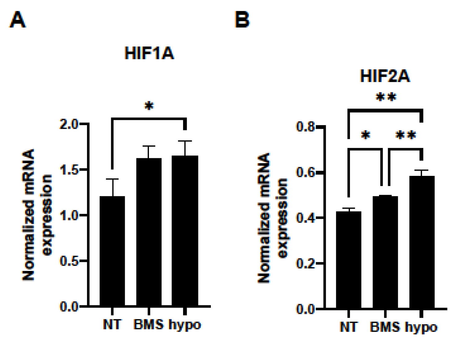 Bioengineering 11 00584 g004