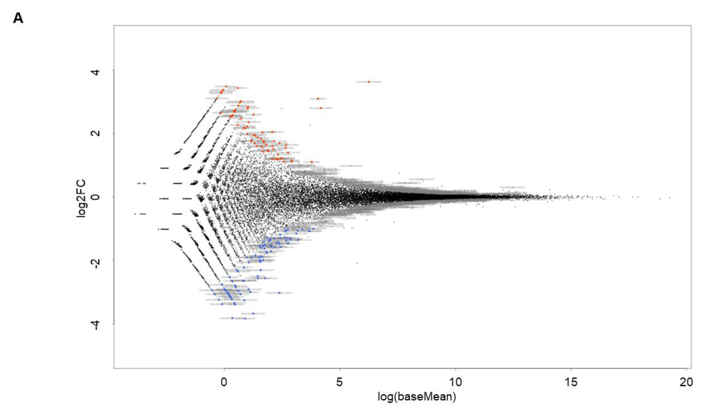 Bioengineering 11 00584 g006a
