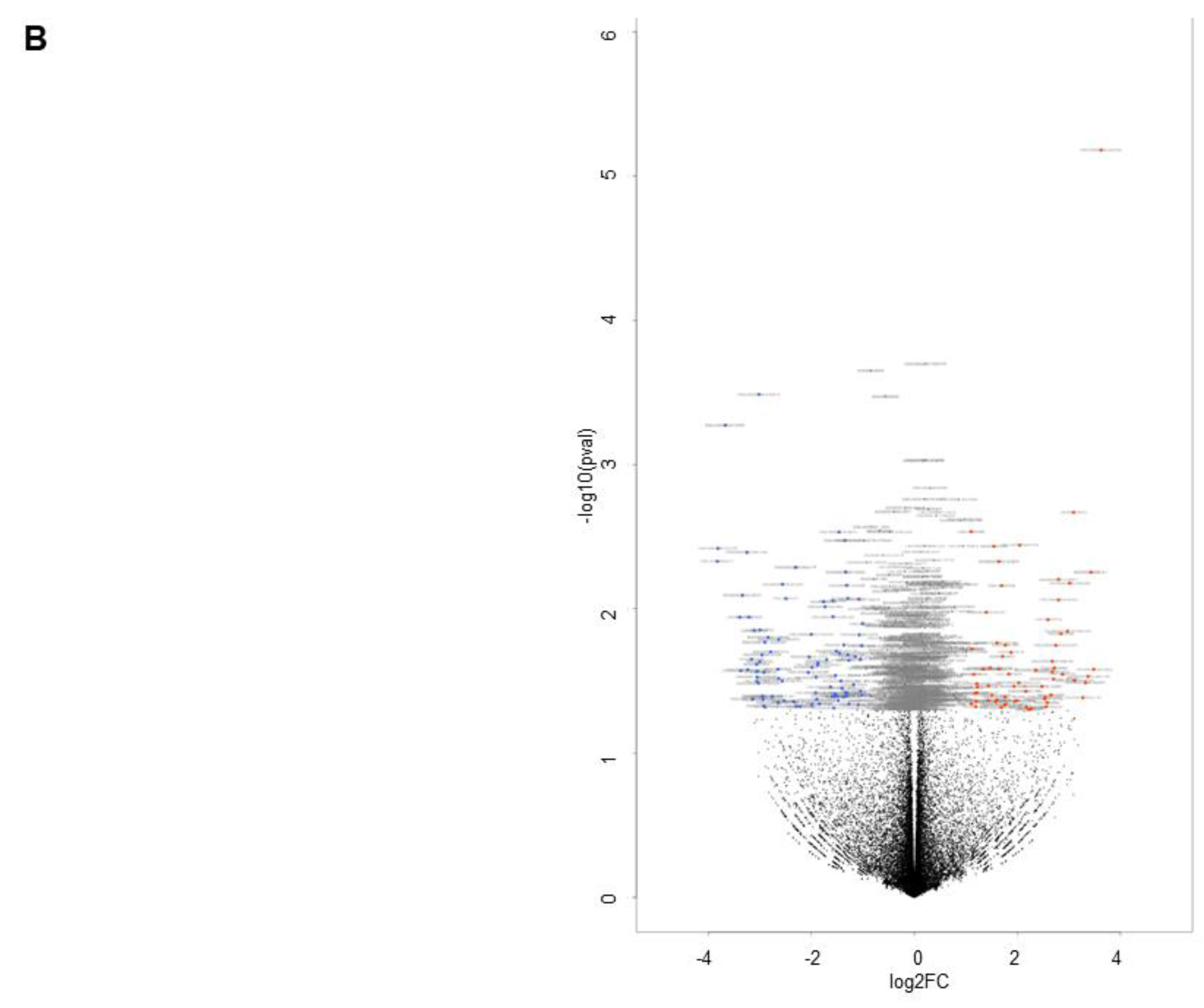 Bioengineering 11 00584 g006b