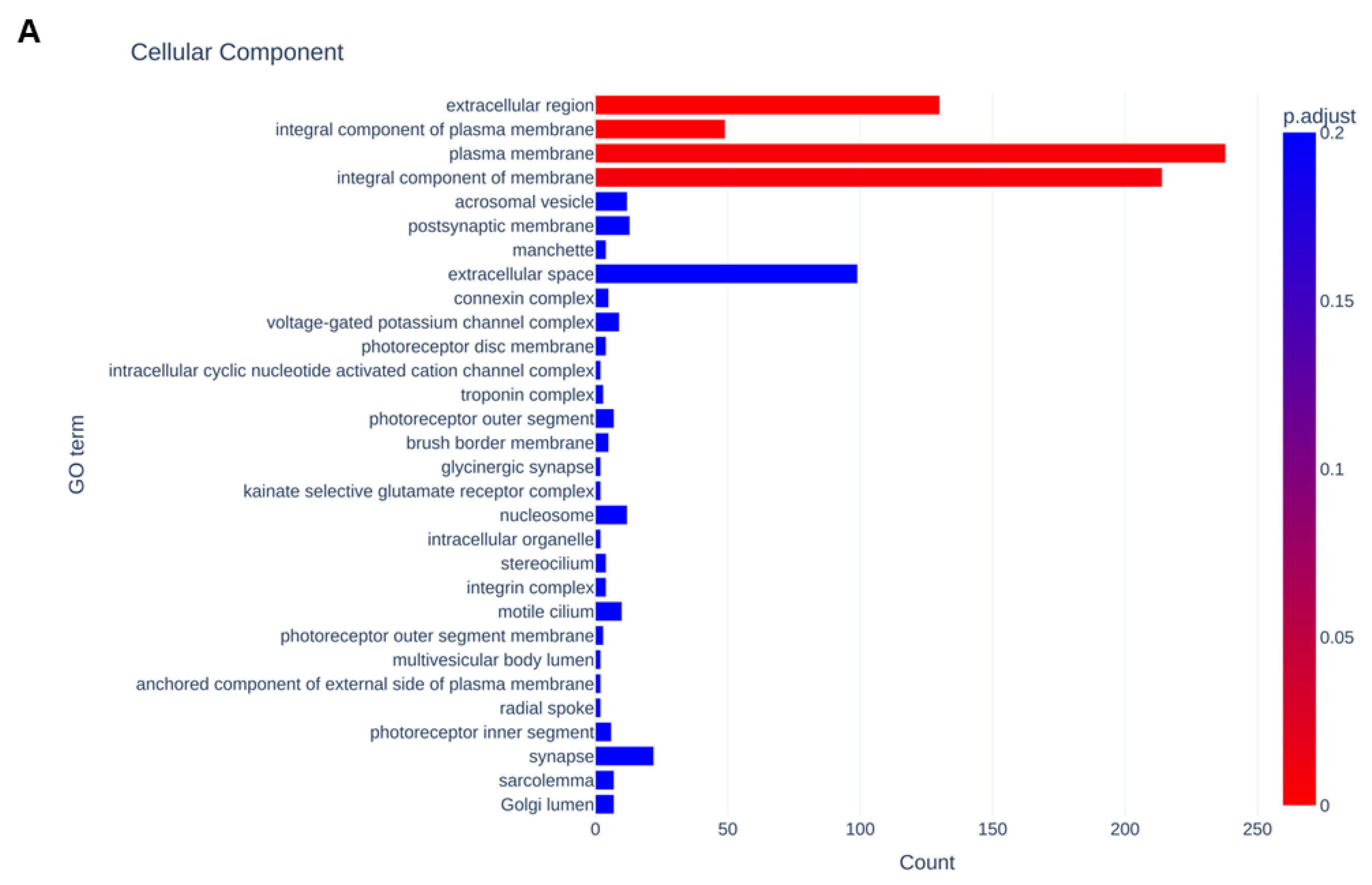 Bioengineering 11 00584 g007a