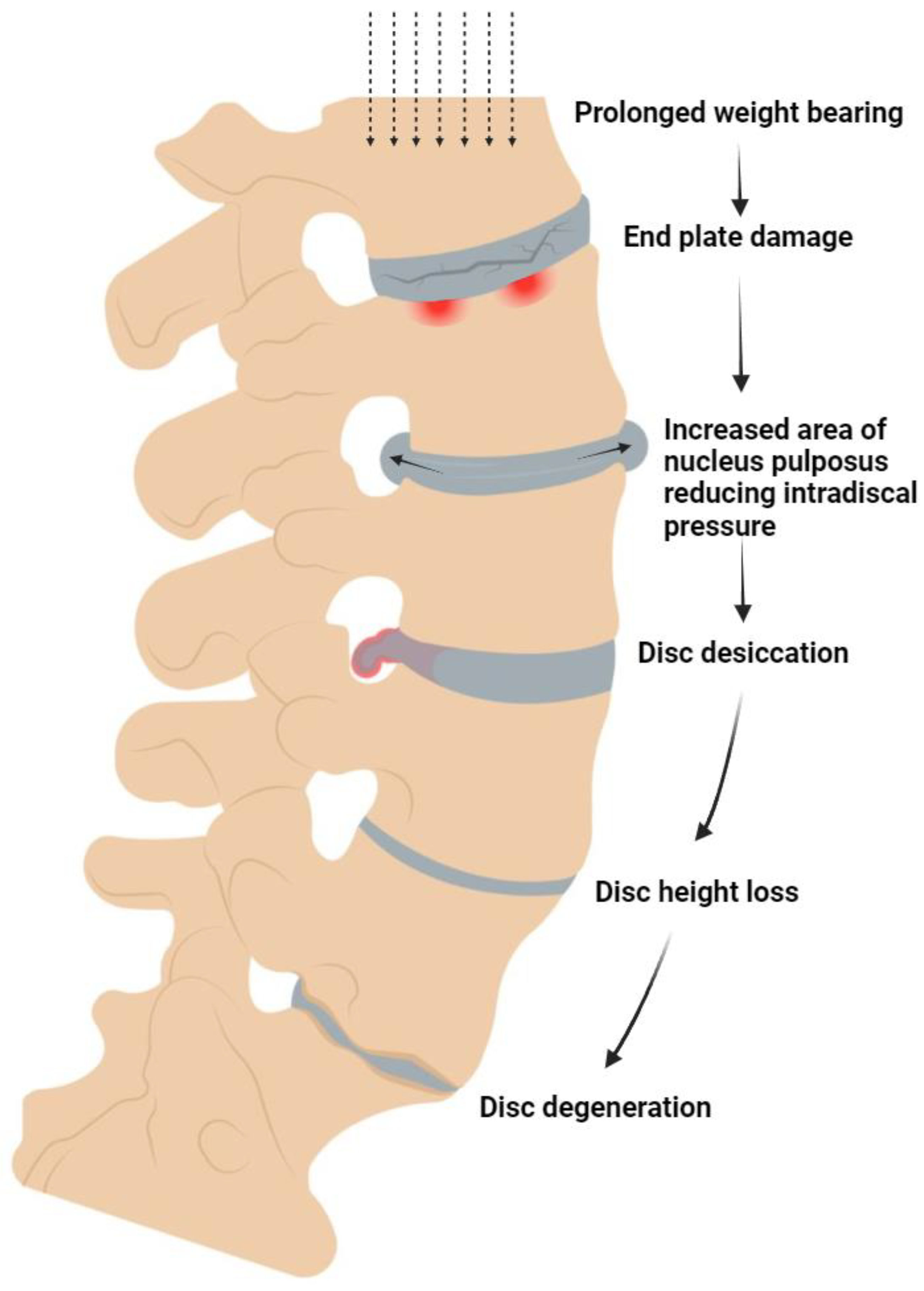 Bioengineering 11 00591 g001